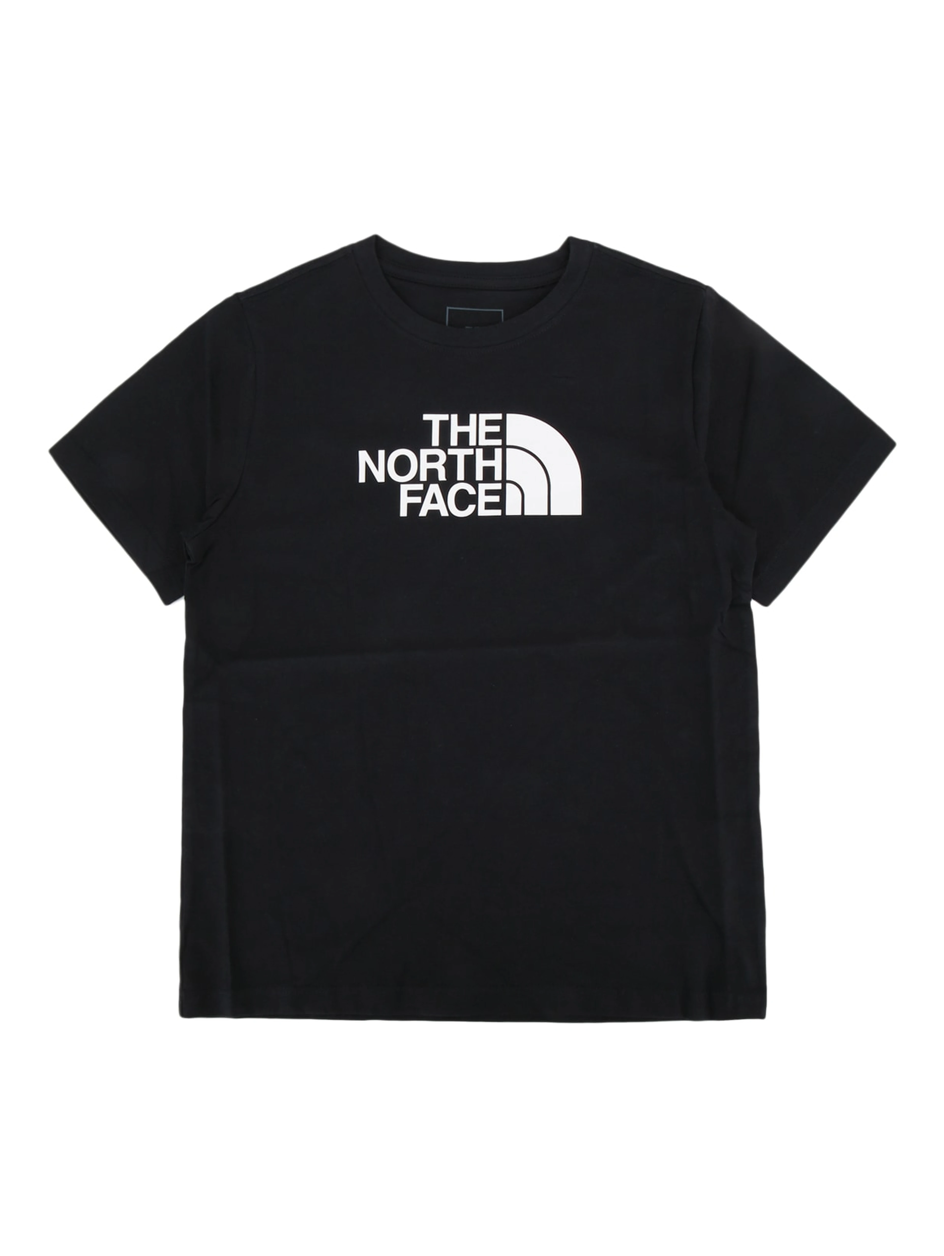 TEEN EVOLUTION HALF DOME SS TEE
