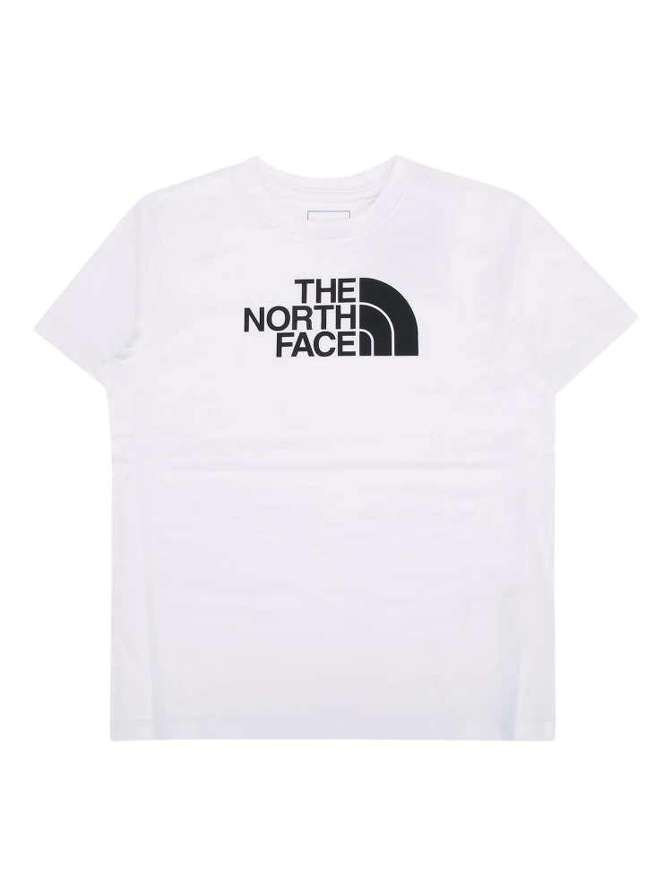 TEEN EVOLUTION HALF DOME SS TEE
