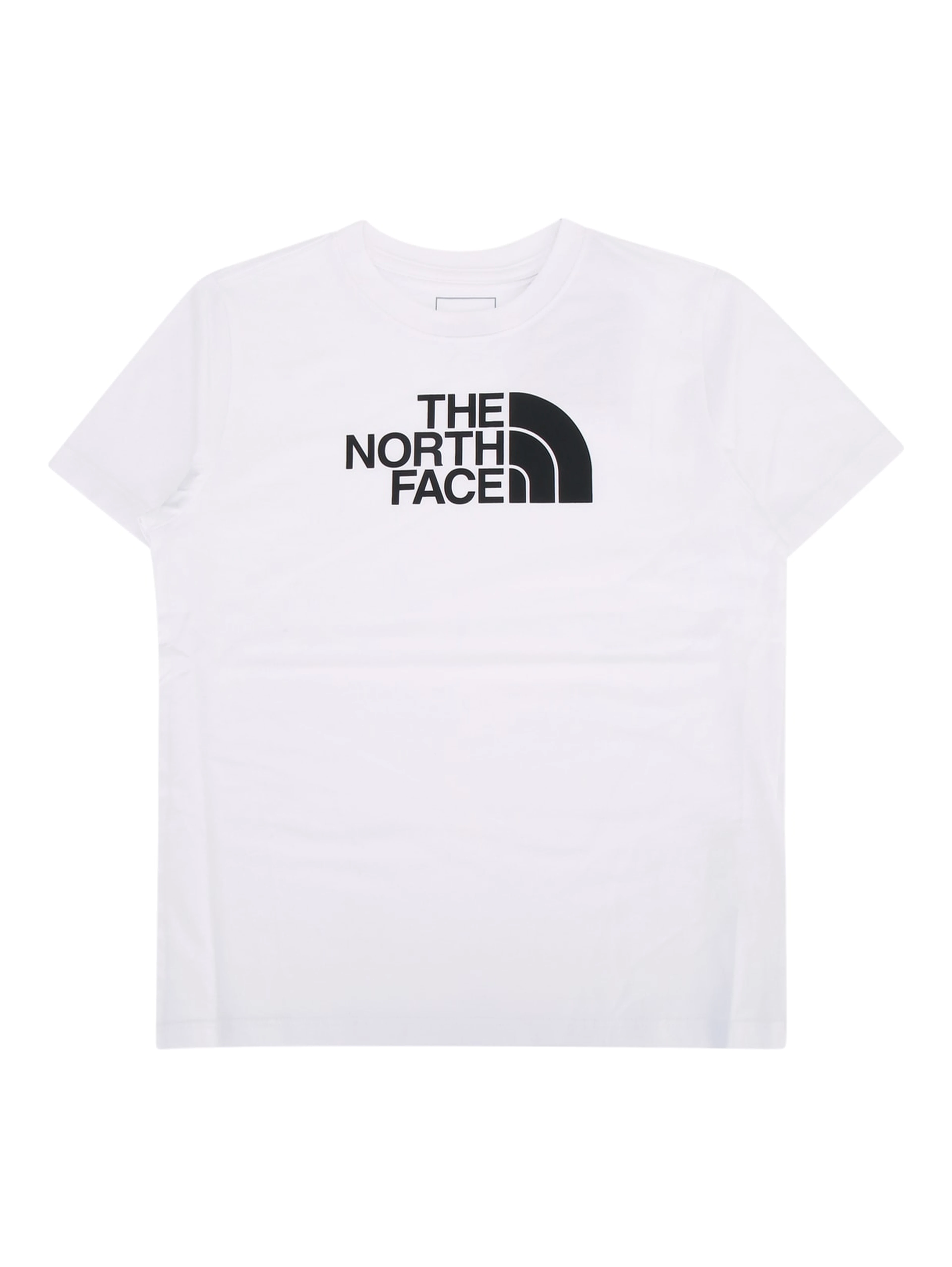 TEEN EVOLUTION HALF DOME SS TEE