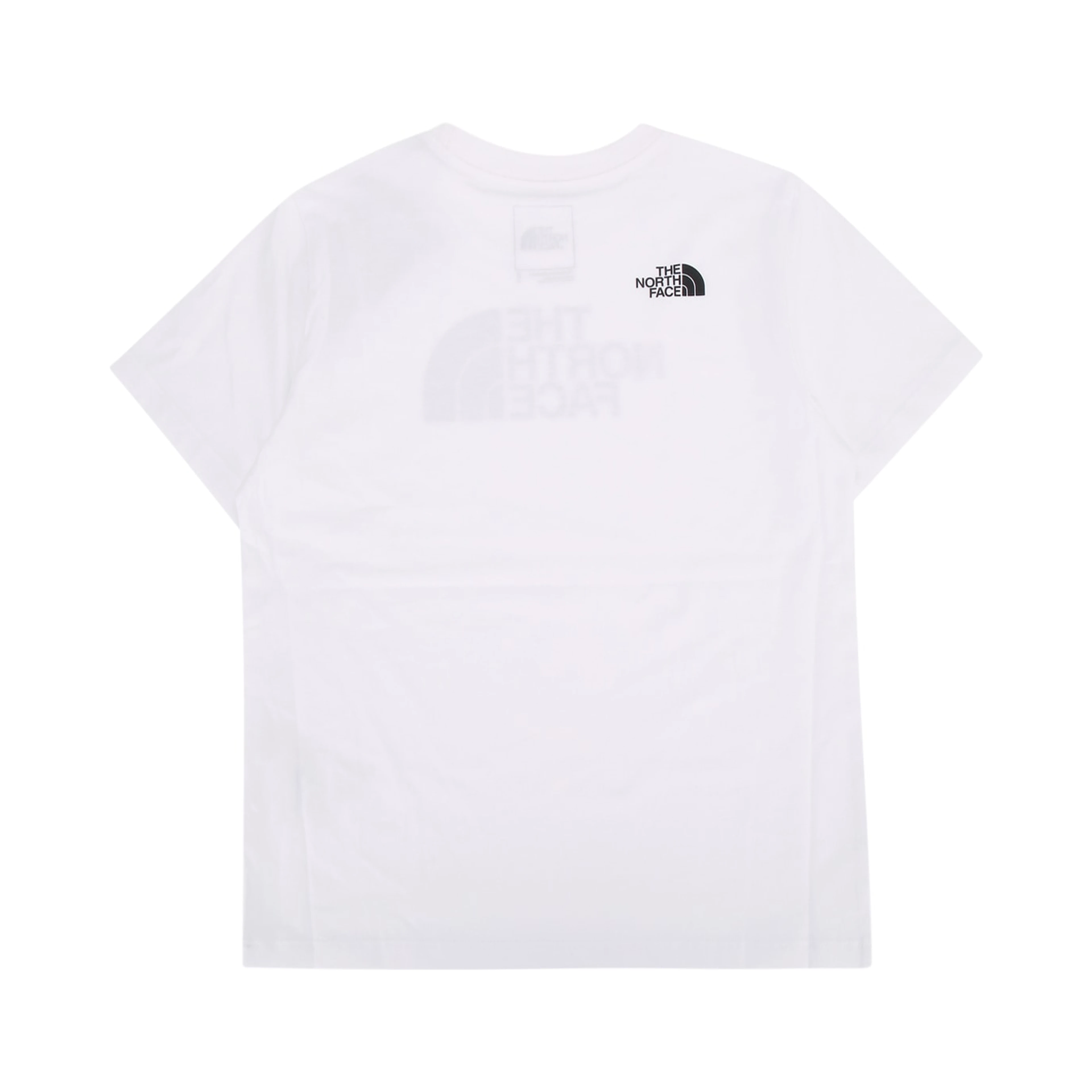 TEEN EVOLUTION HALF DOME SS TEE