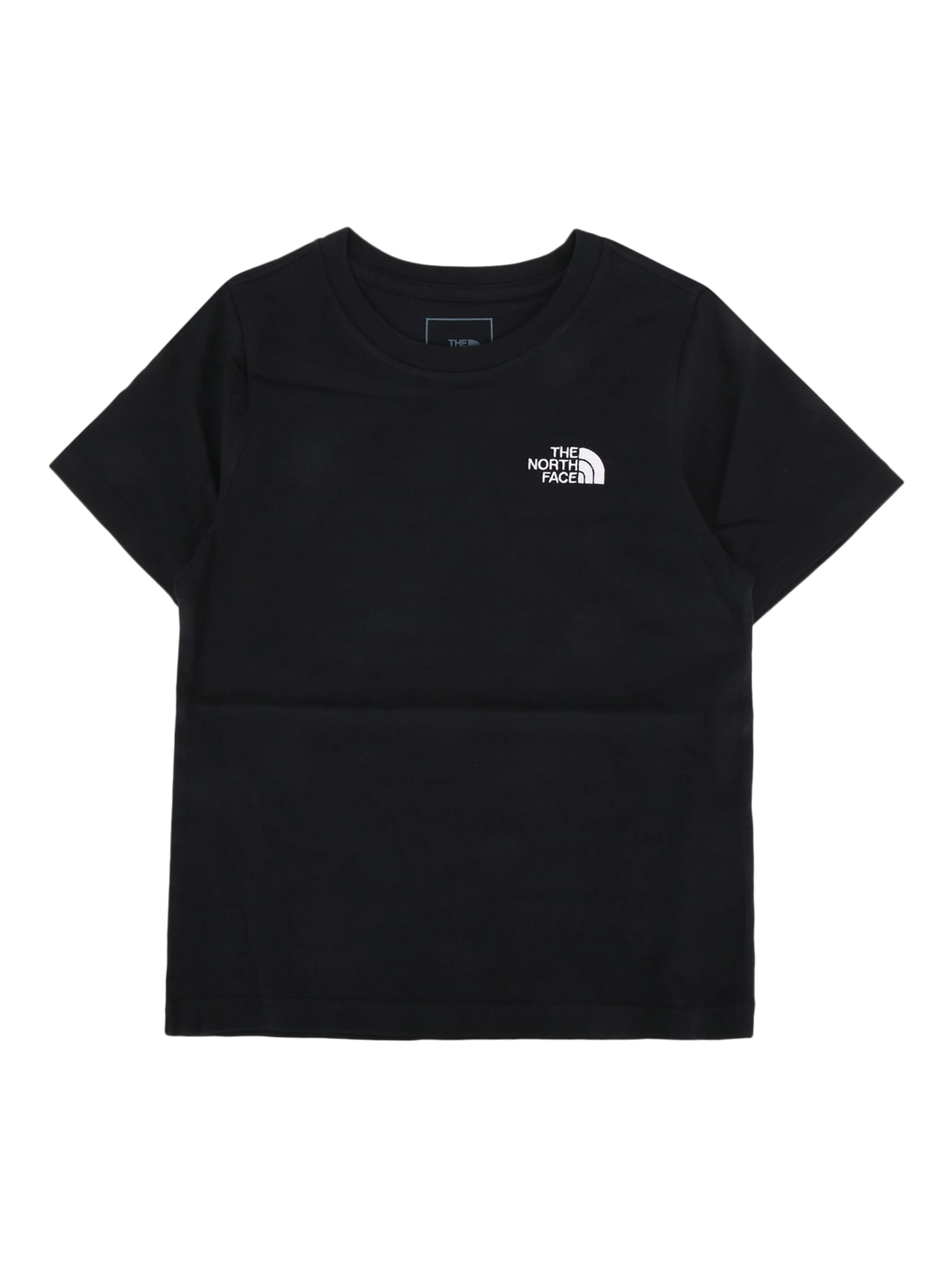 TEEN EVOLUTION SIMPLE DOME S/S TEE