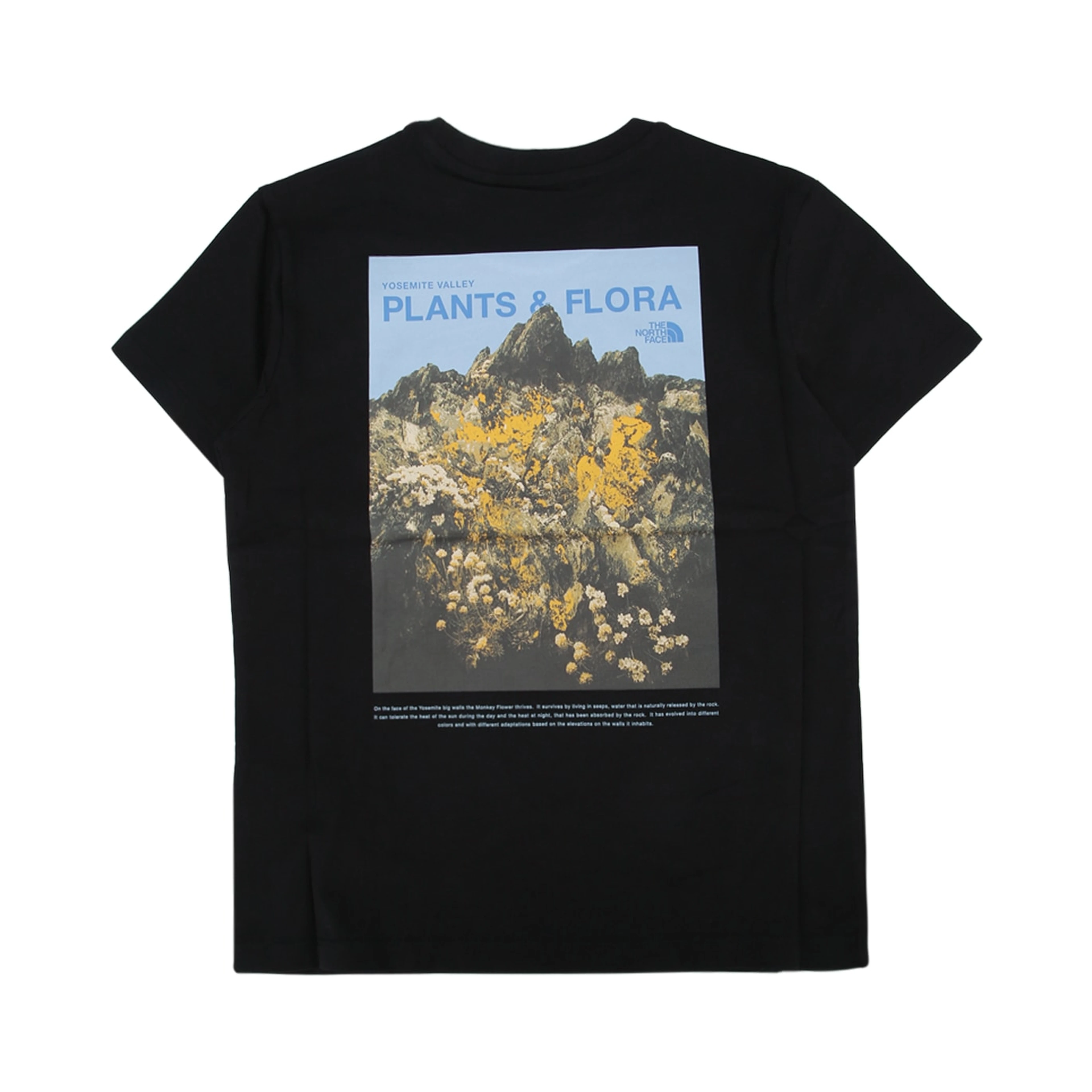 G FLORA RELAXED SHORT SLEEVE TEE - GRAPHIC