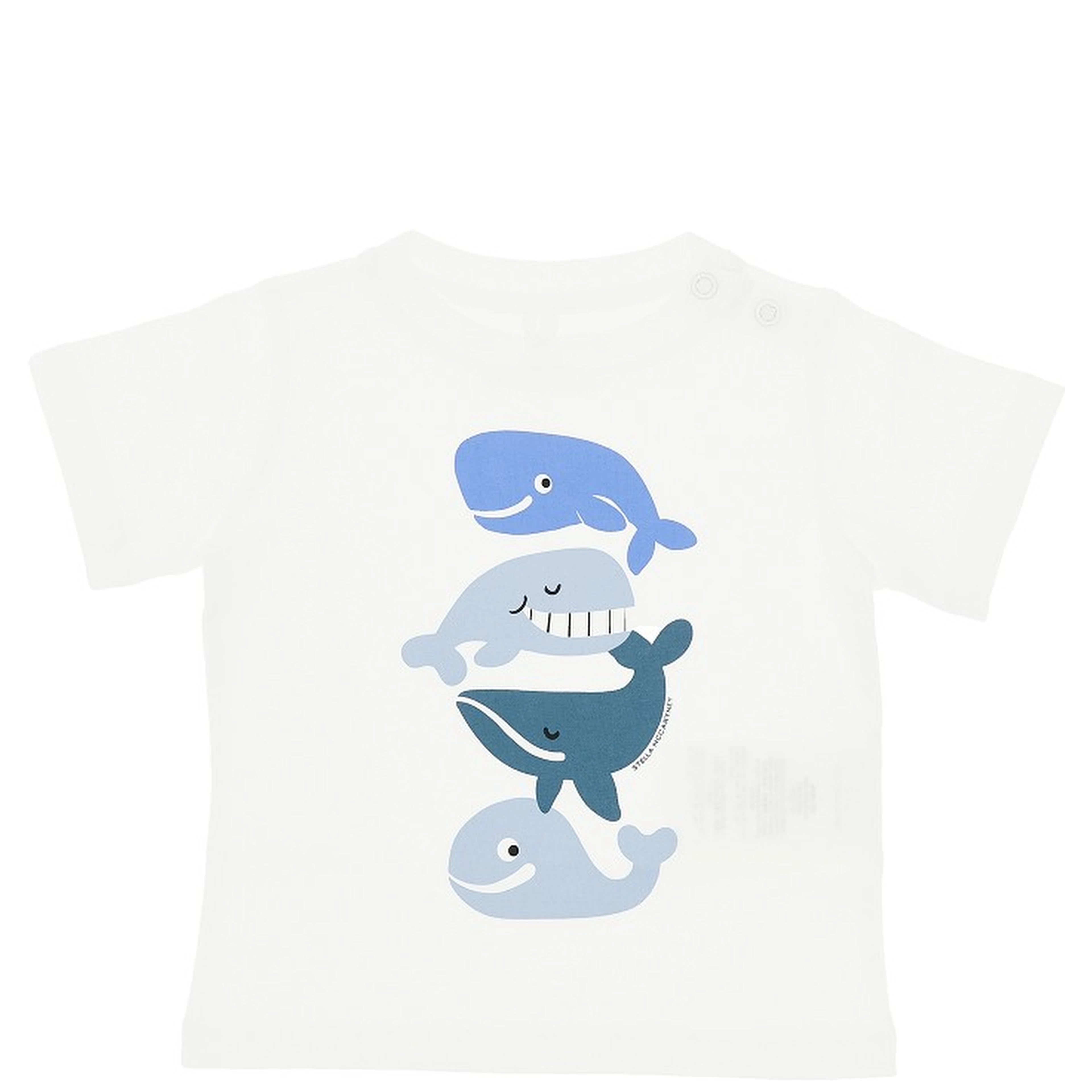 Cotton jersey t-shirt with print