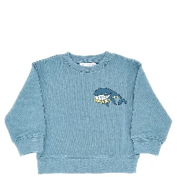 Printed crewneck sweatshirt