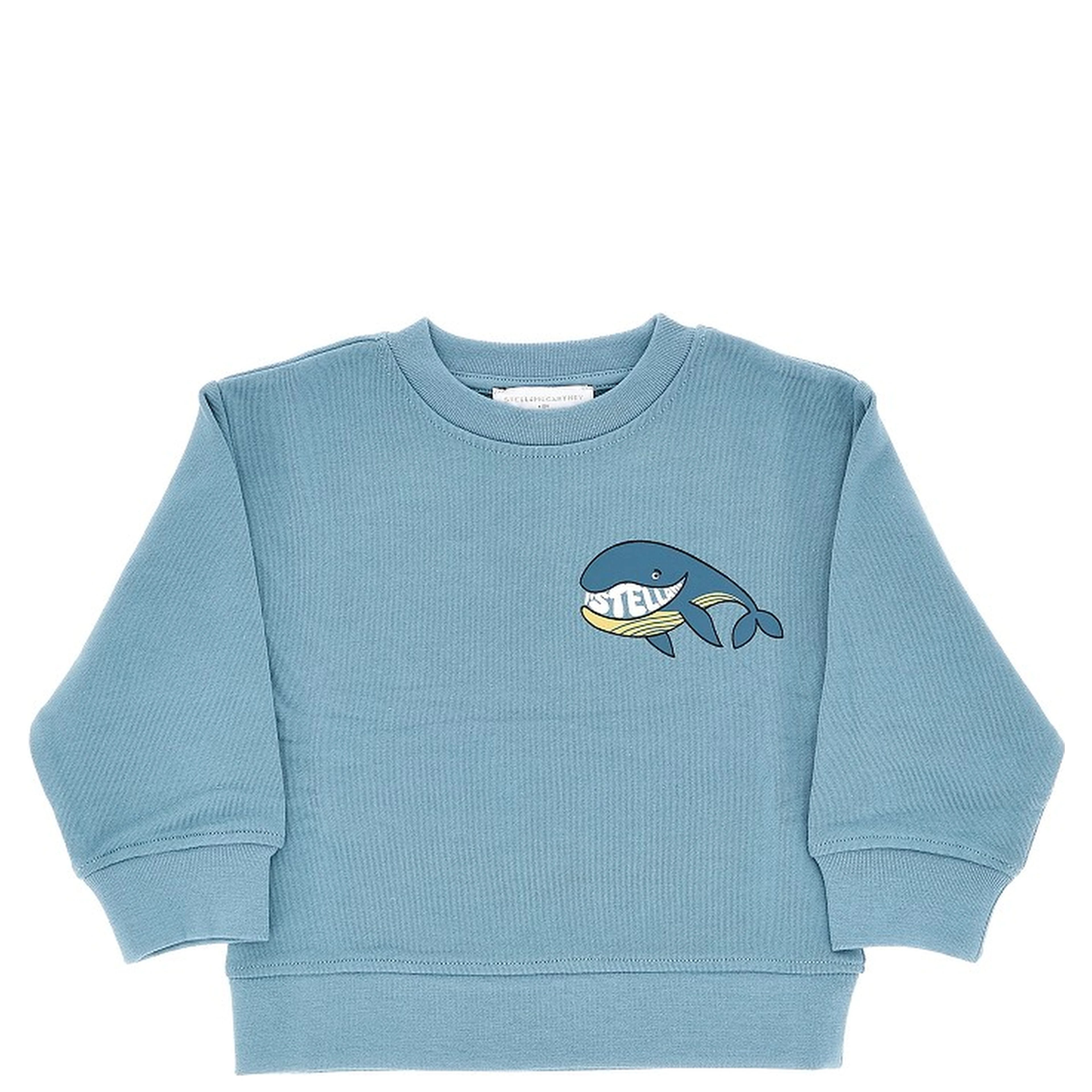 Printed crewneck sweatshirt