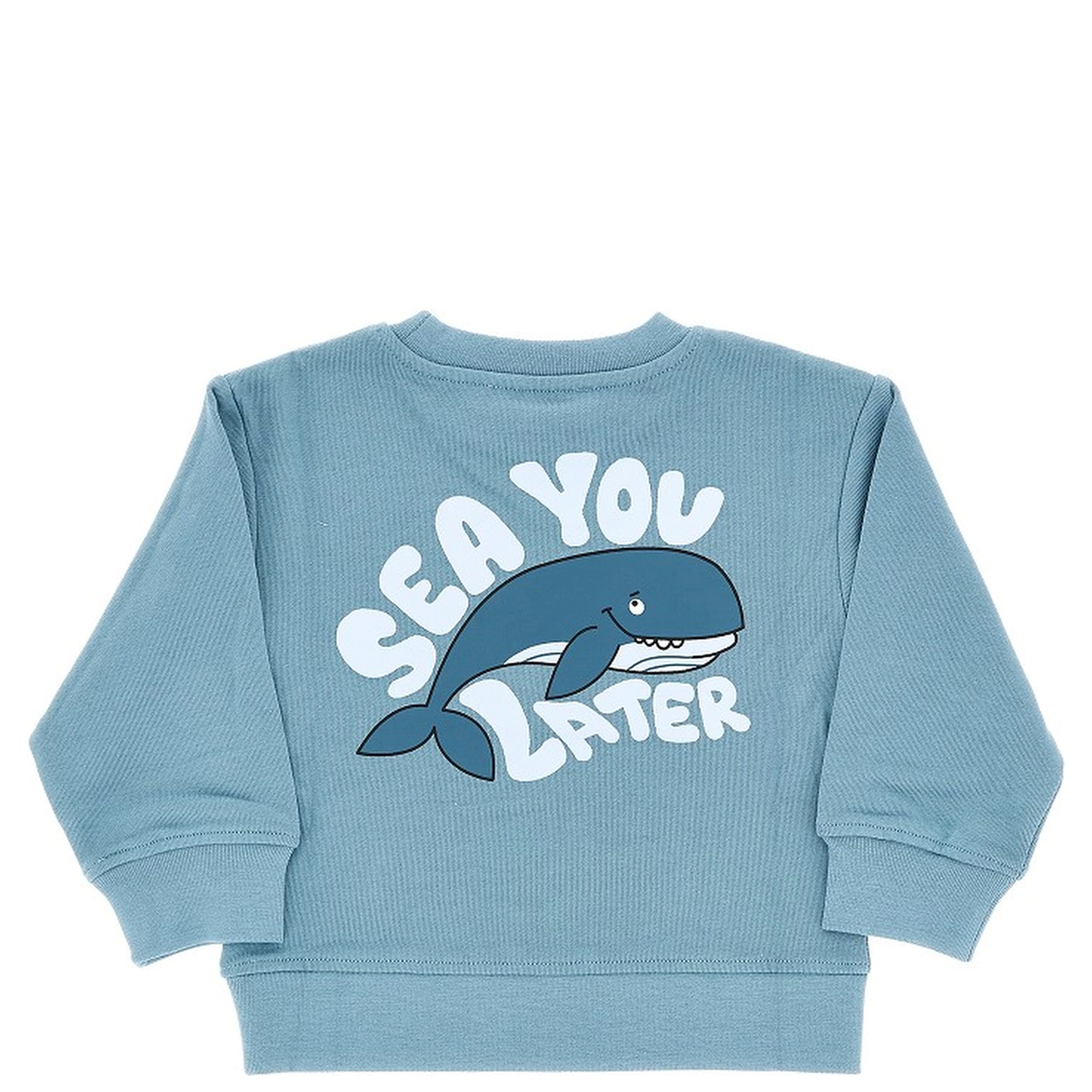 Printed crewneck sweatshirt