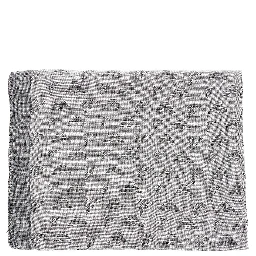 Viscose-blend scarf with Eagle motif