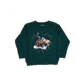 Printed crewneck sweatshirt