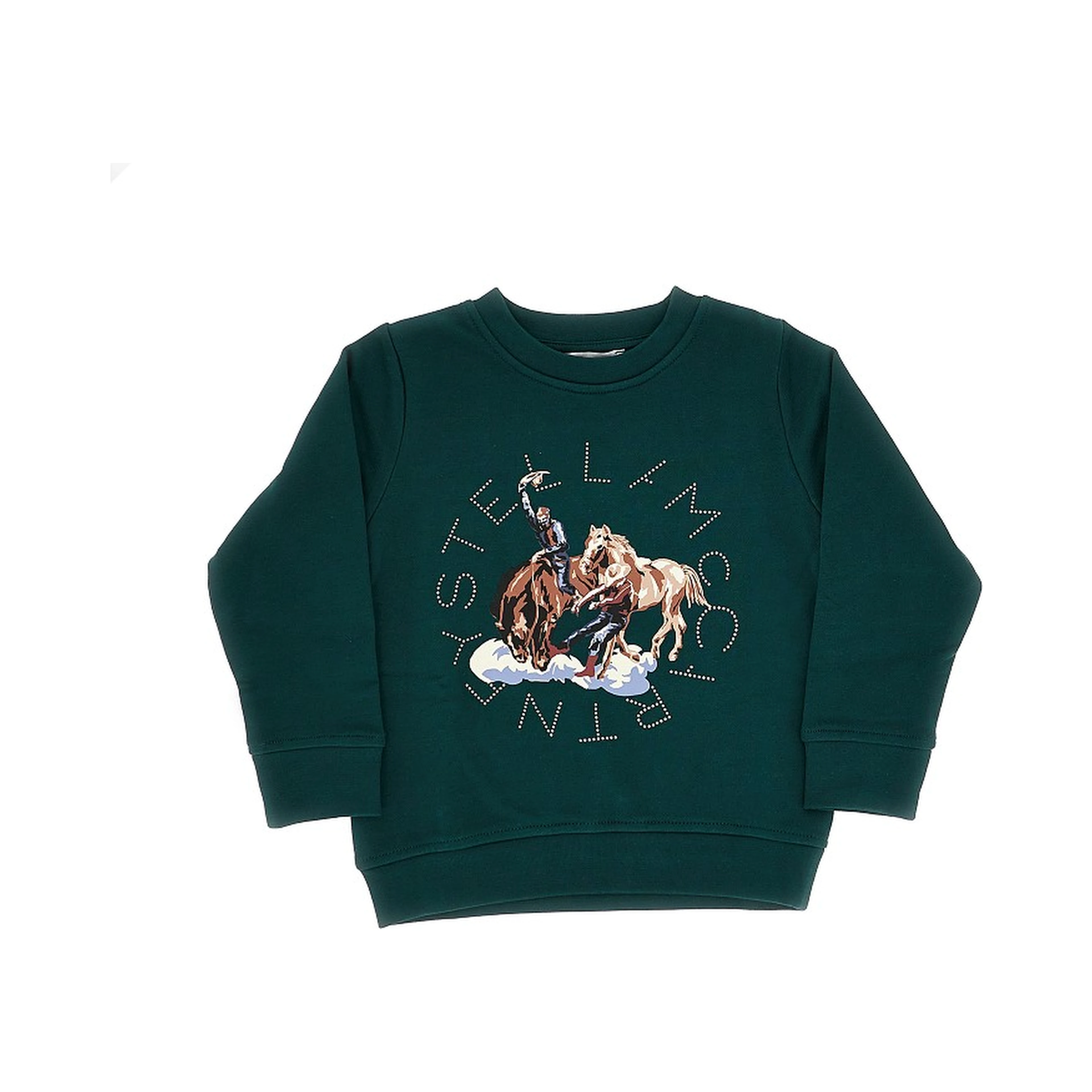 Printed crewneck sweatshirt