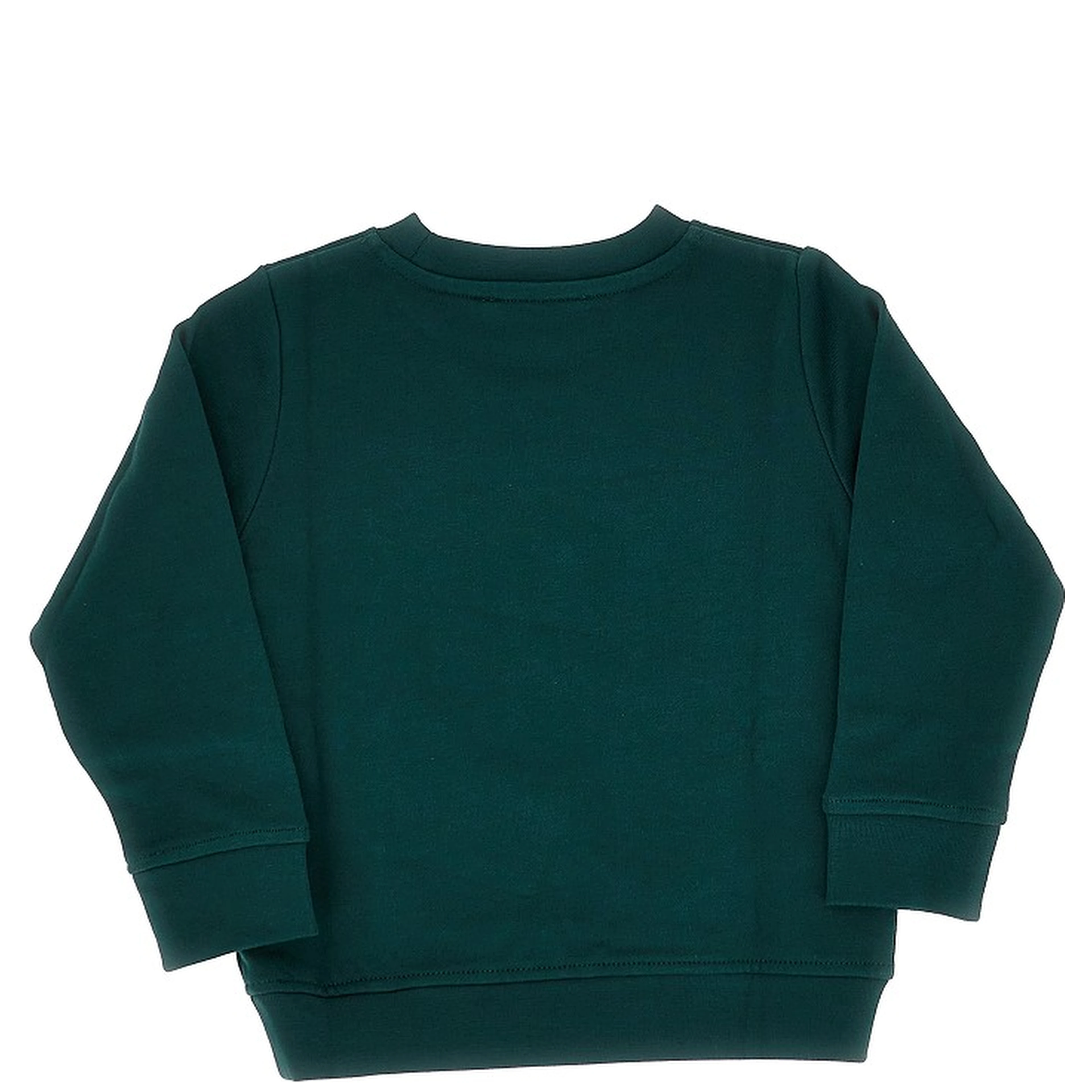 Printed crewneck sweatshirt