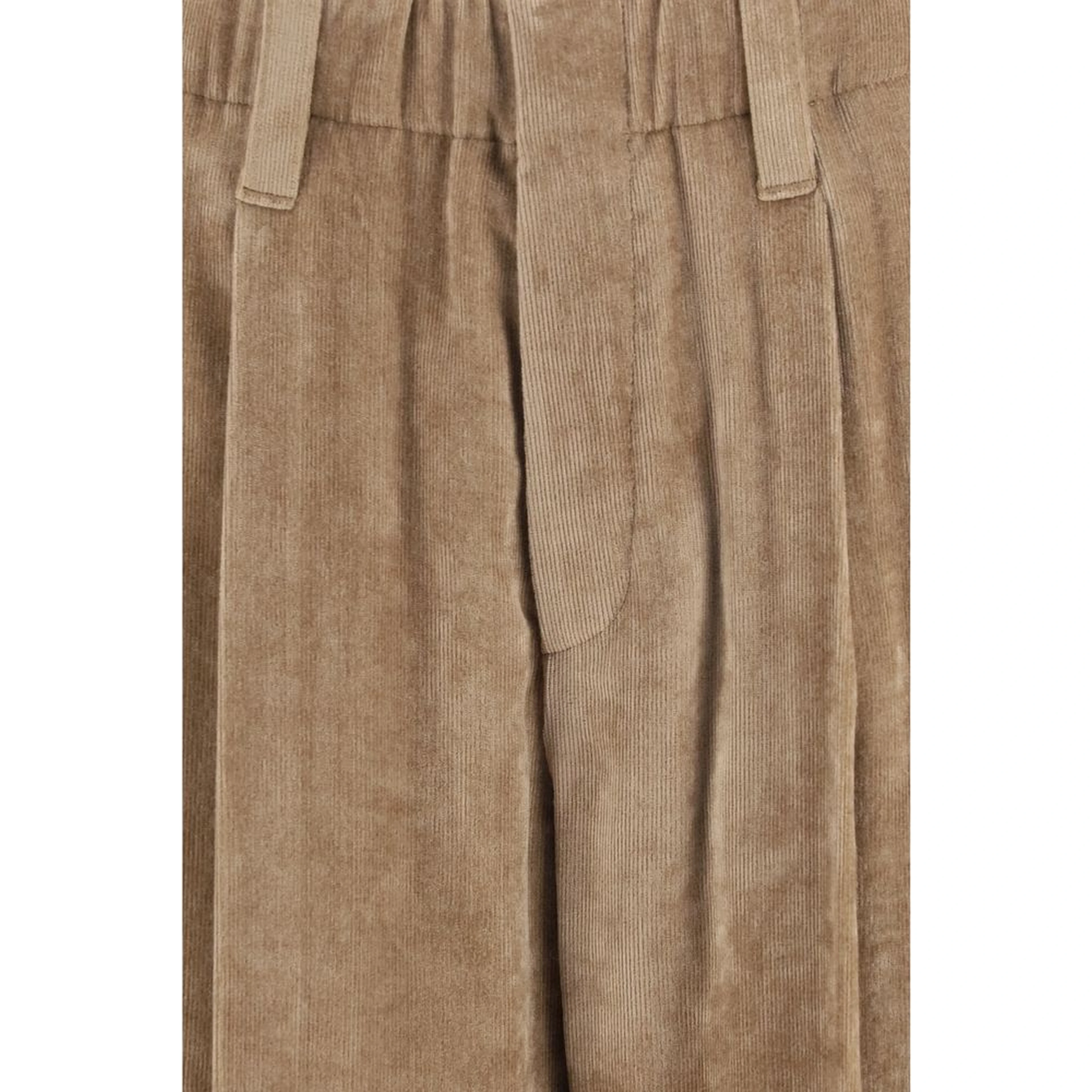 Brown Viscose Casual Pants