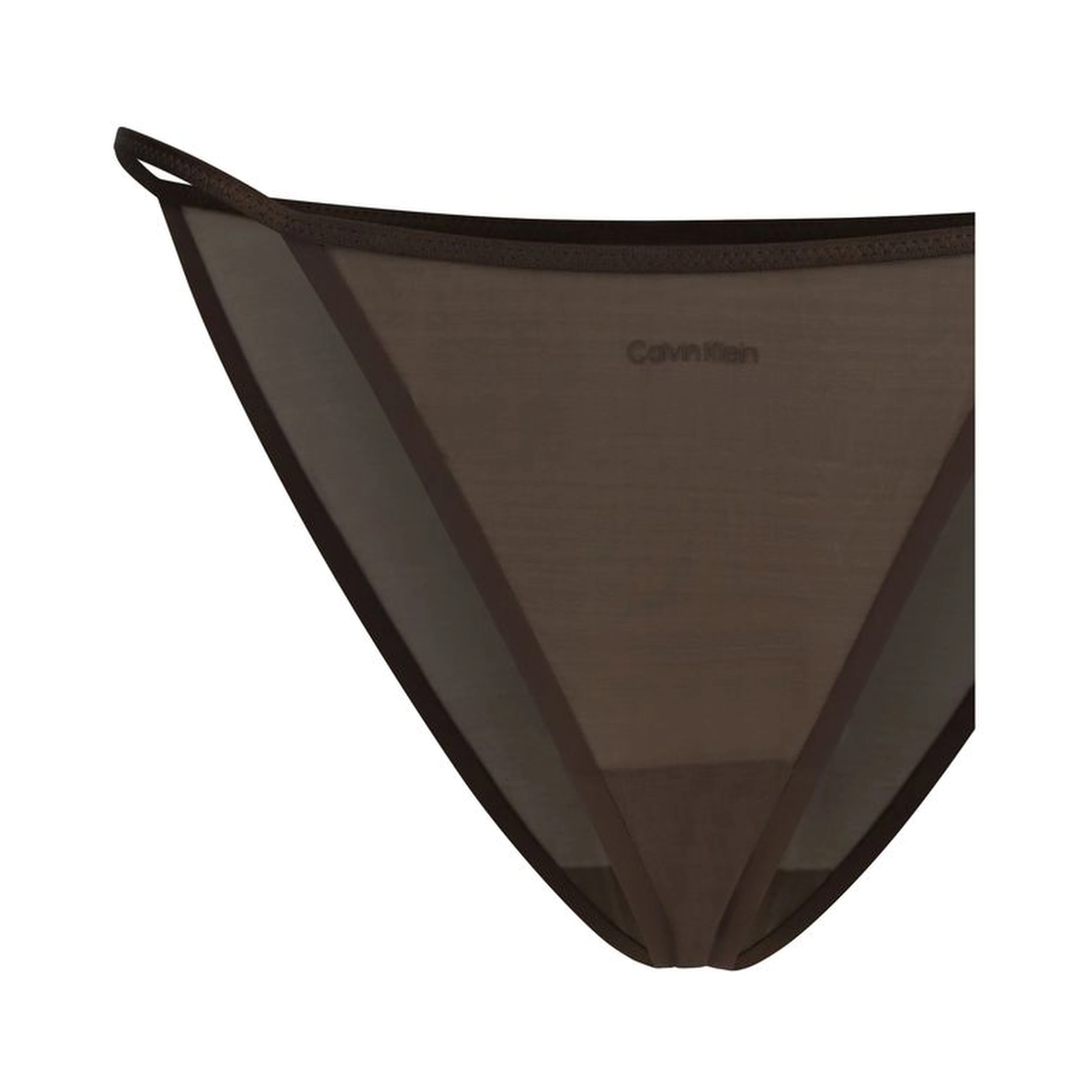 Brown Nylon Pantie