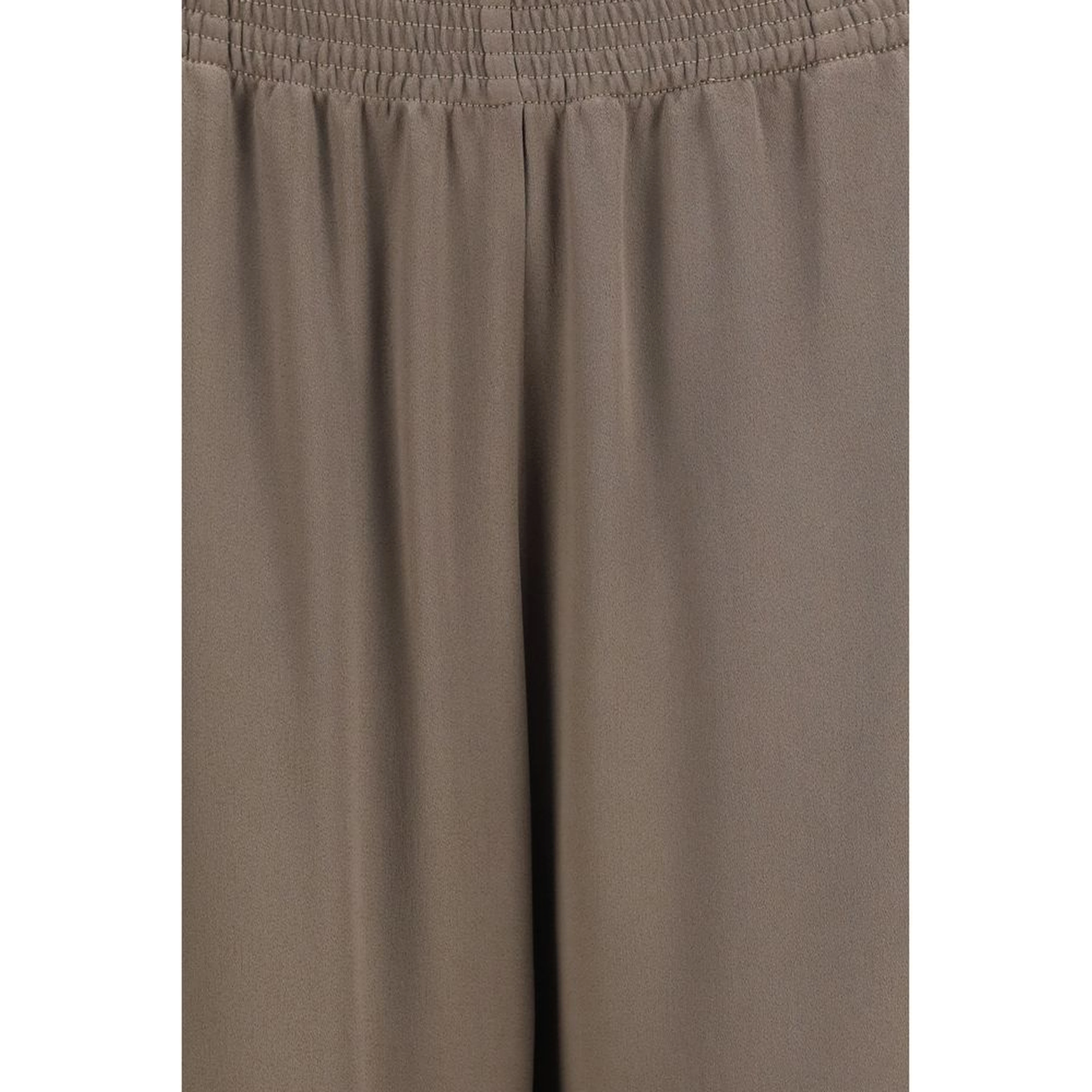 Brown Viscose Casual Pants