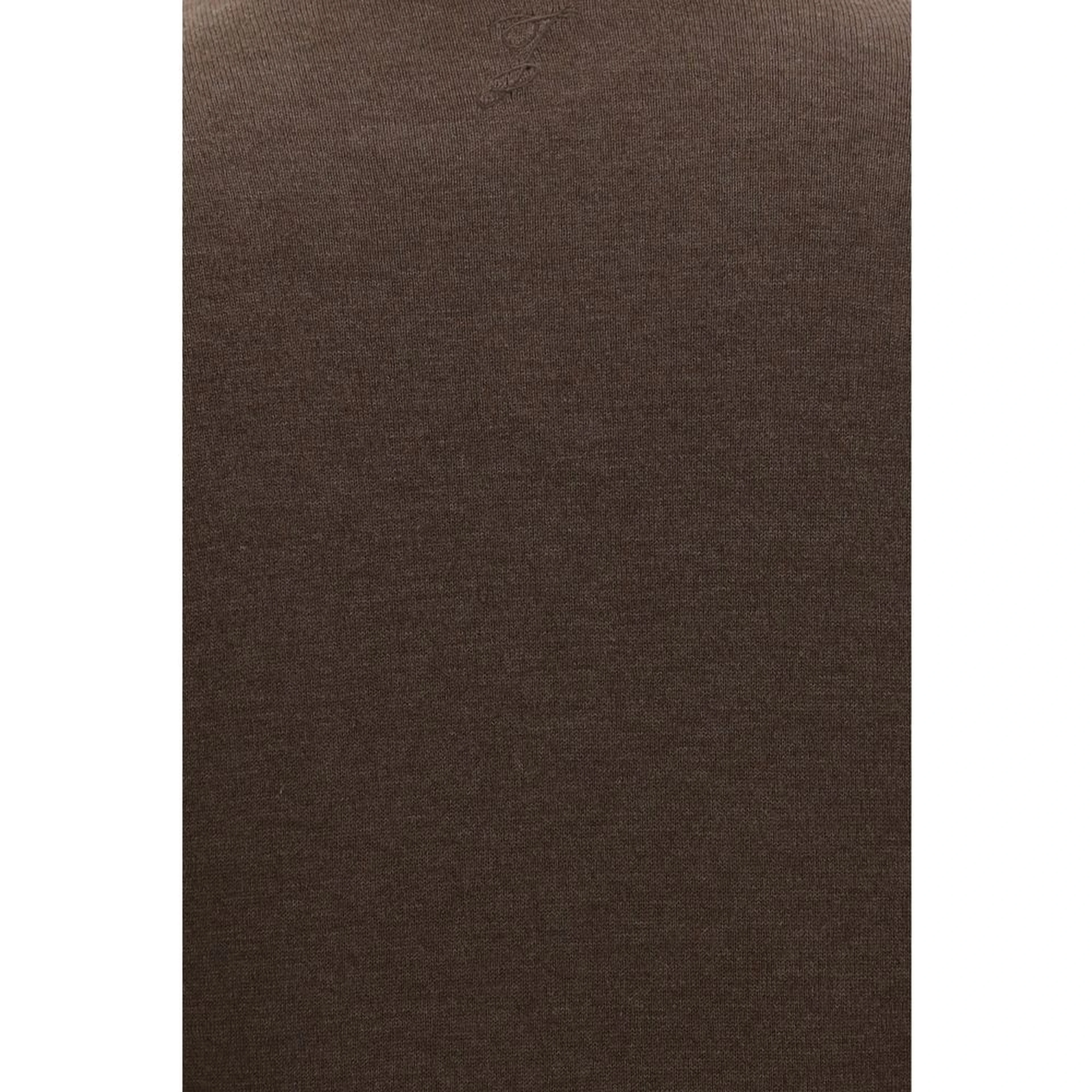Brown Silk Casual Dress