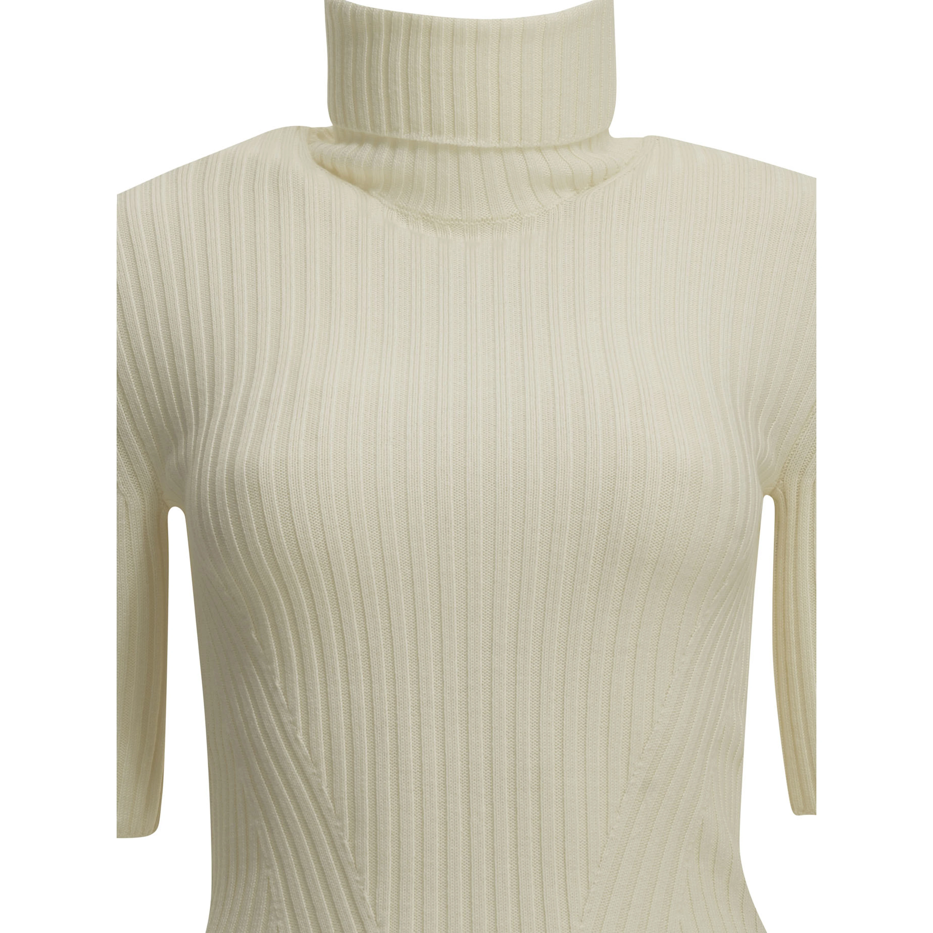 Wool Turtleneck Sweater