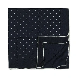 Scarves & Silk scarves