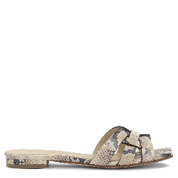 "Norma" Slides