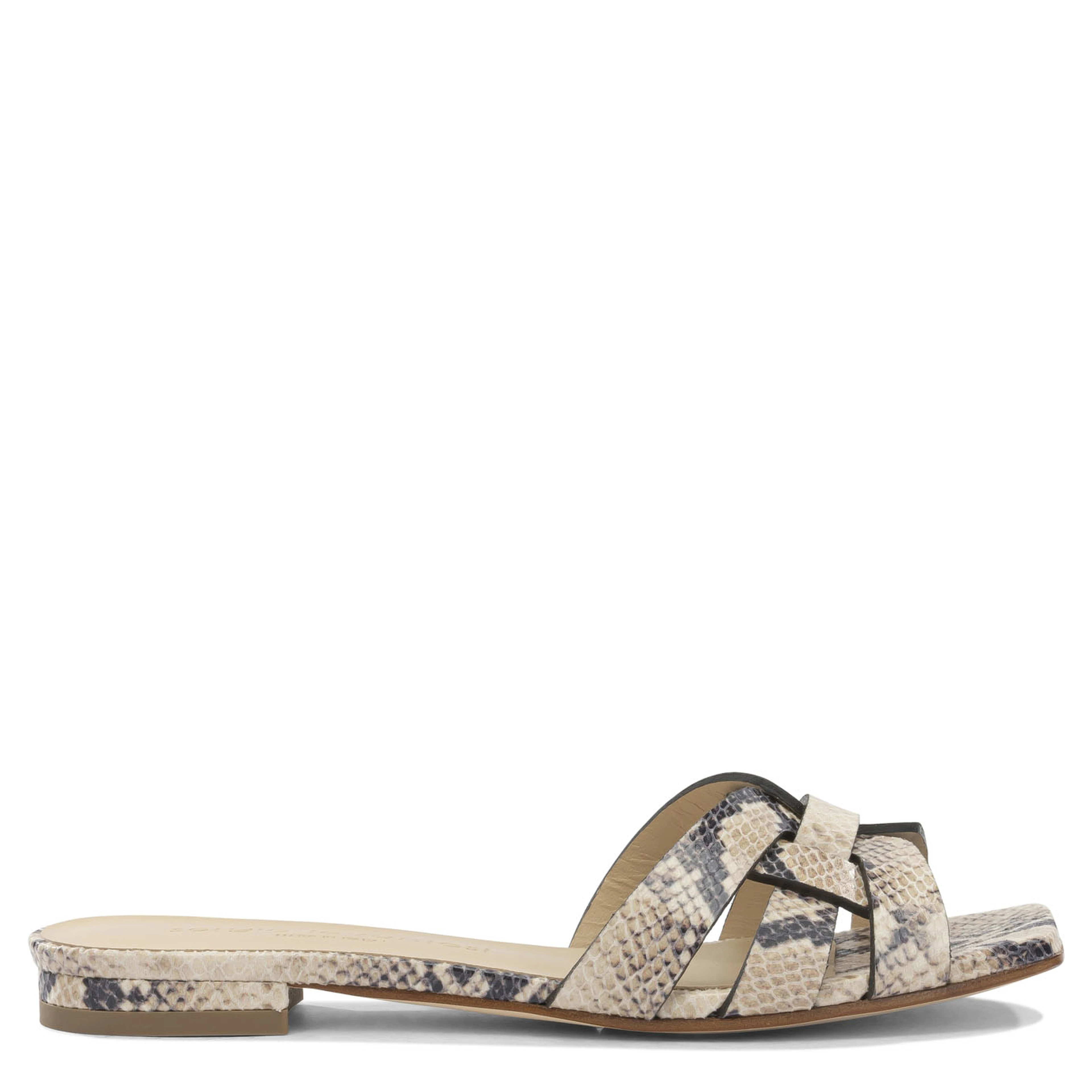 "Norma" Slides