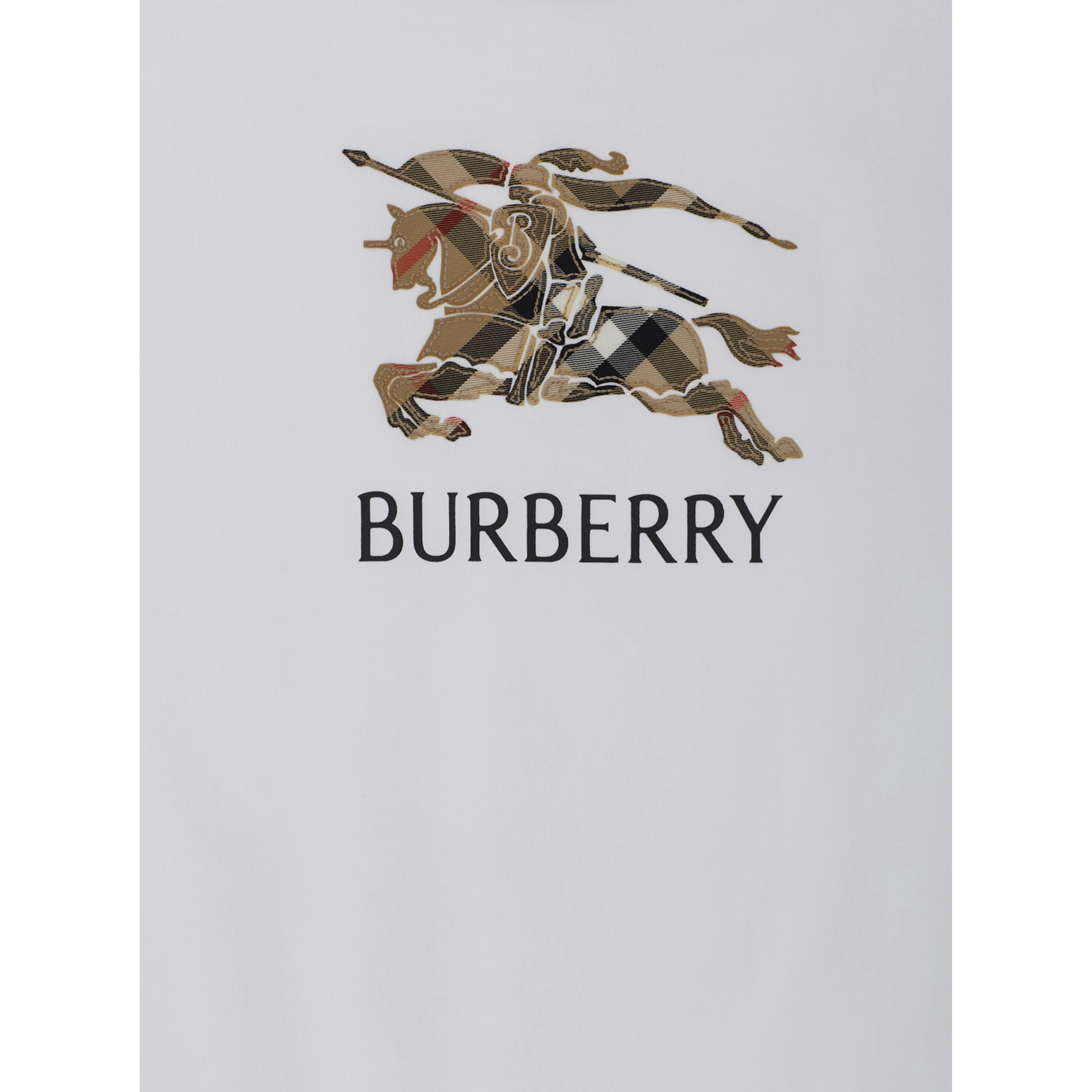 Crew Neck T-Shirt with Logo Lettering and EKD Embroidery on the Front in White Cotton Boy