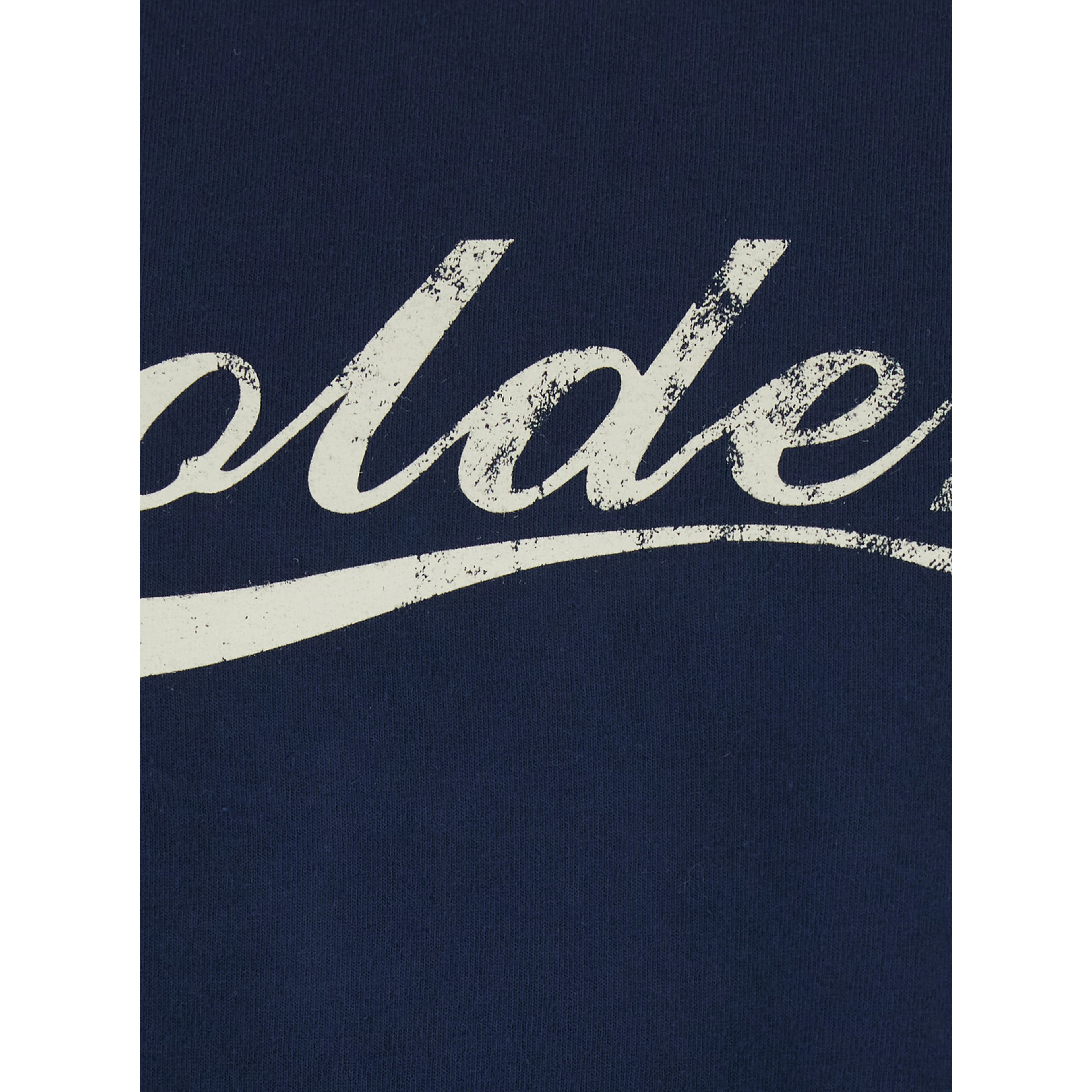 Blue Crew Neck T-Shirt with Logo lettering on the Front in Cotton for Men