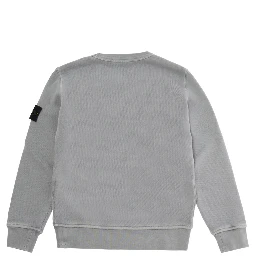 Grey Hoodie with logo patch on the sleeve in cotton for Boy