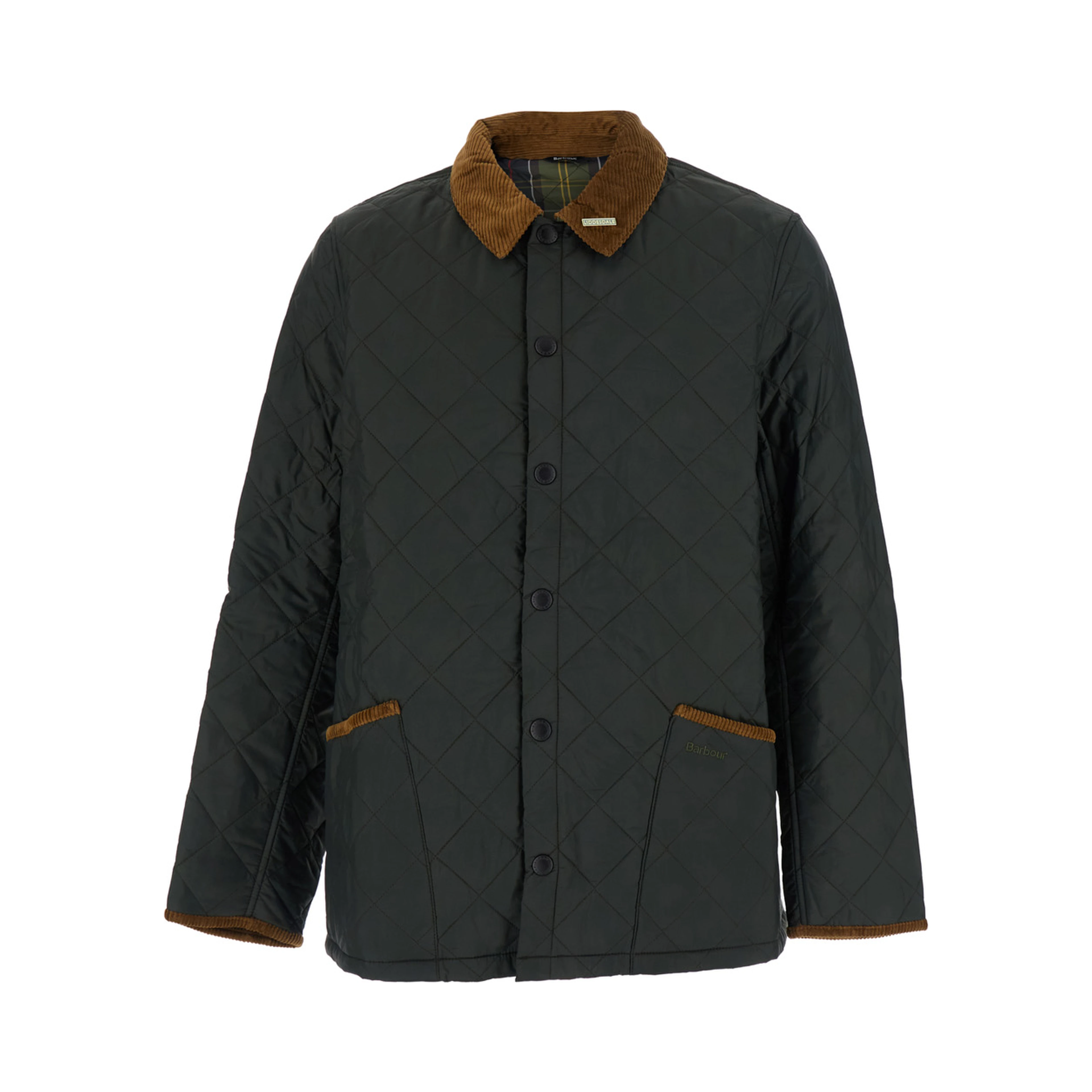 Quilted jacket with velvet edges and high collar, made of Tech Fabric, green, man