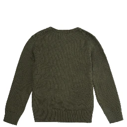 Green Sweater with embroidered Polo Bear on the front in cotton Boy