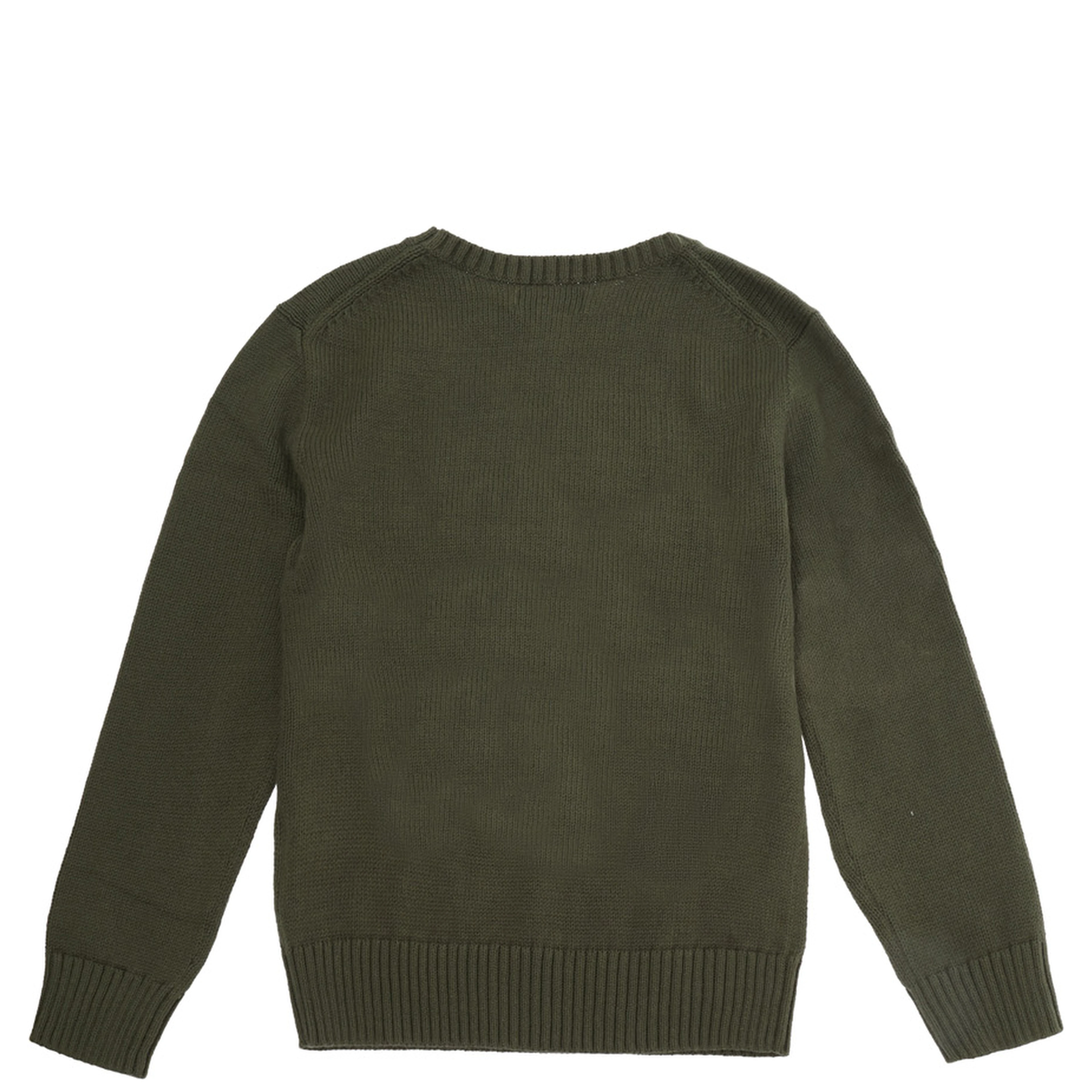 Green Sweater with embroidered Polo Bear on the front in cotton Boy