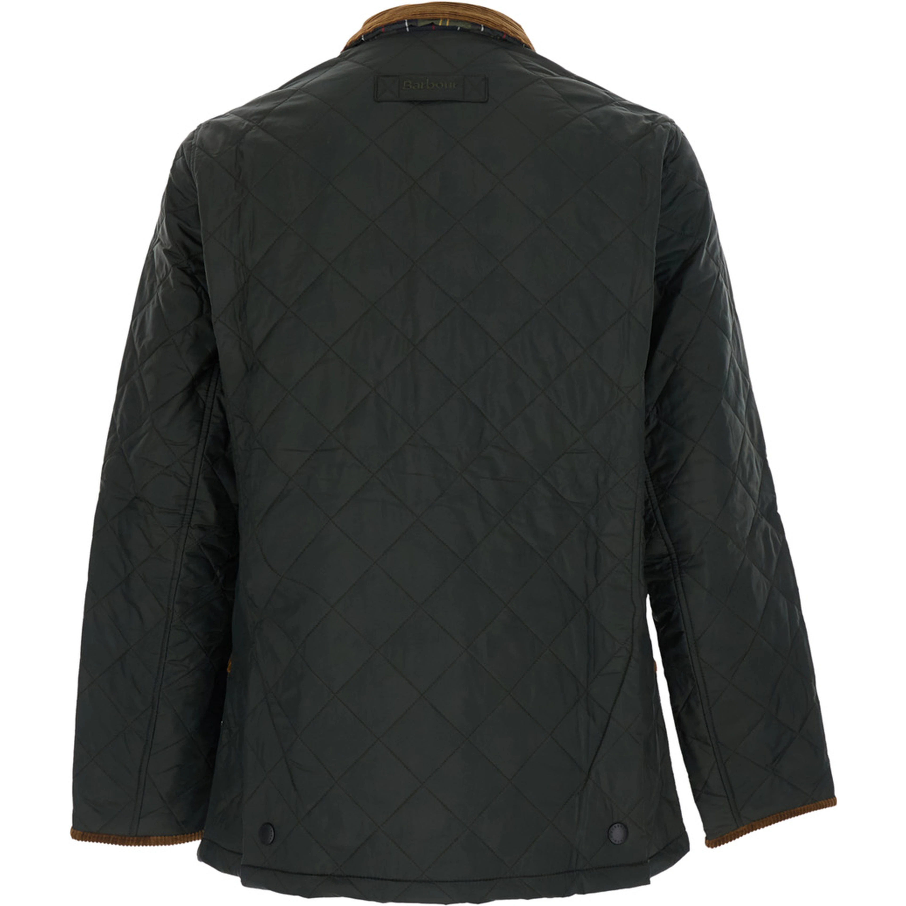 Quilted jacket with velvet edges and high collar, made of Tech Fabric, green, man