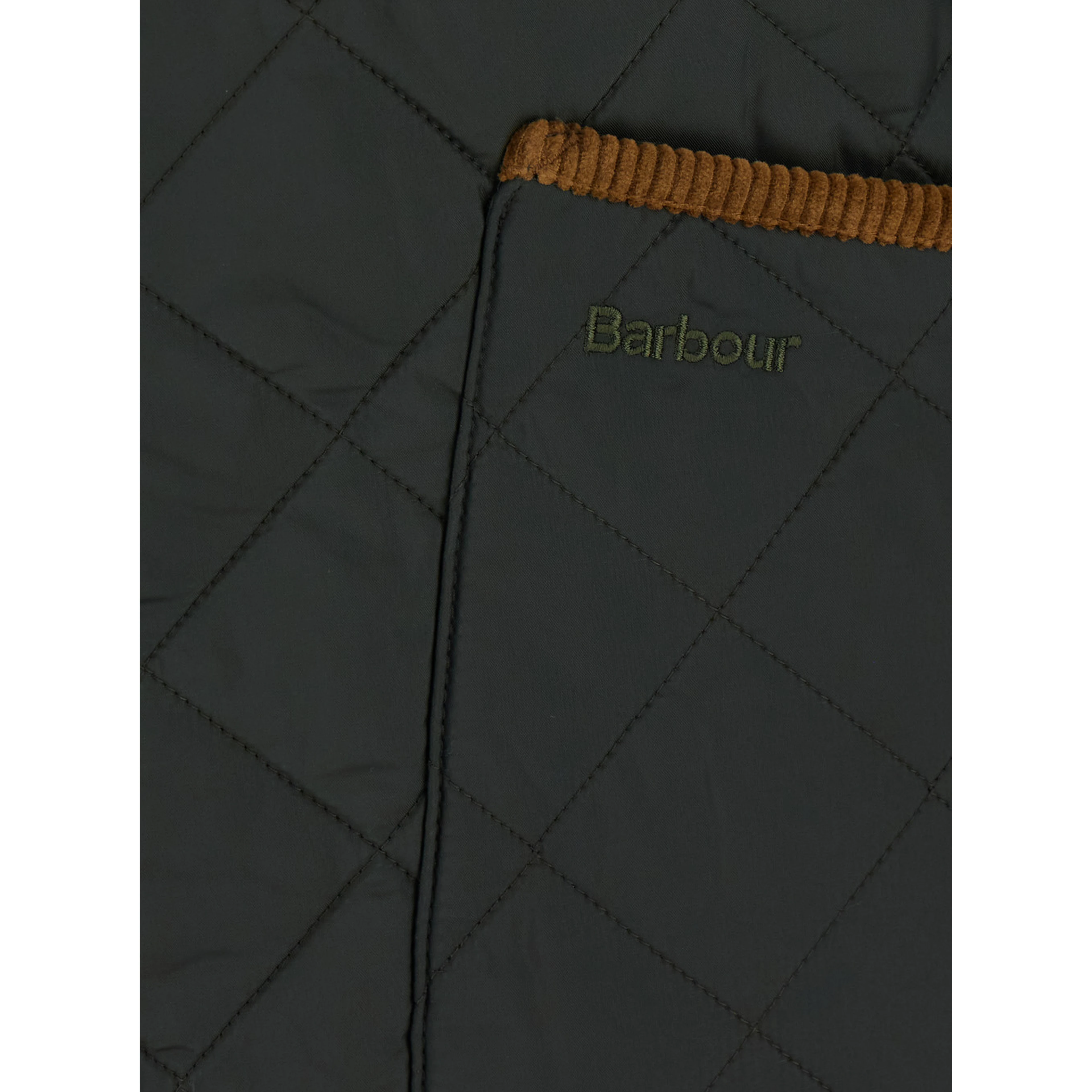 Quilted jacket with velvet edges and high collar, made of Tech Fabric, green, man