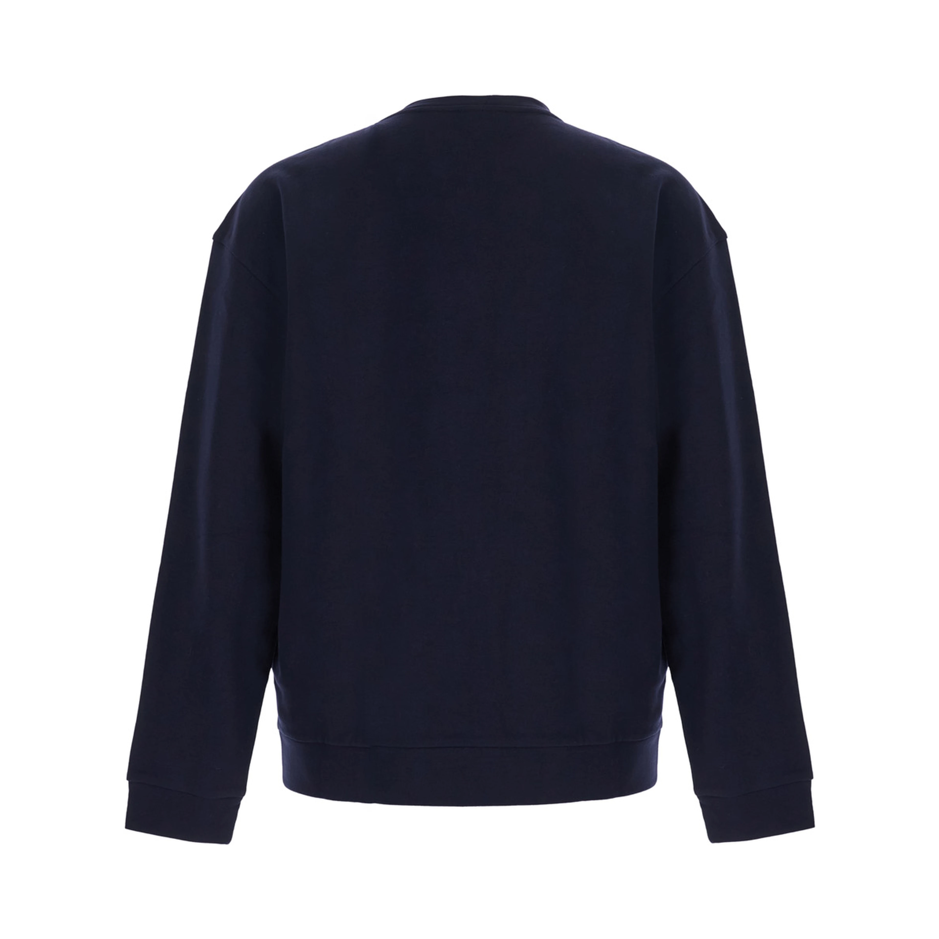 blue sweatshirt with embroidered logo on the chest in cotton Men