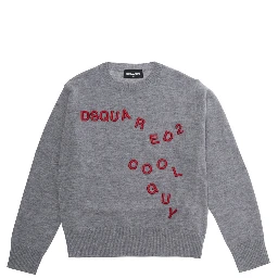 Gray Crewneck Sweater with Logo Lettering on the Front in Boy