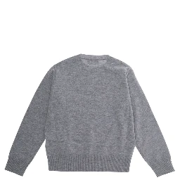 Gray Crewneck Sweater with Logo Lettering on the Front in Boy