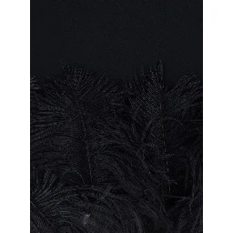 black Dress with feathers applied on the edges in fabric for women