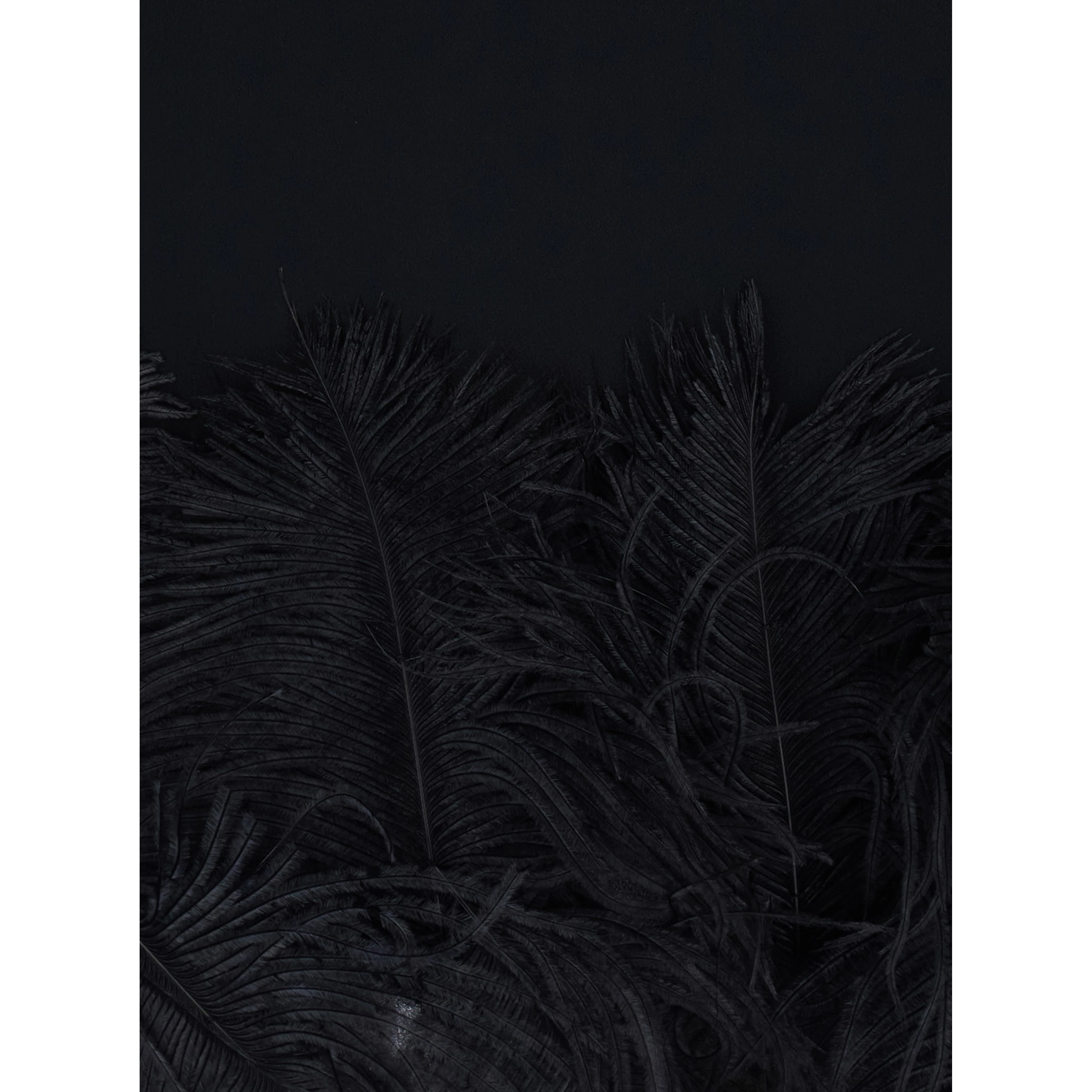 black Dress with feathers applied on the edges in fabric for women