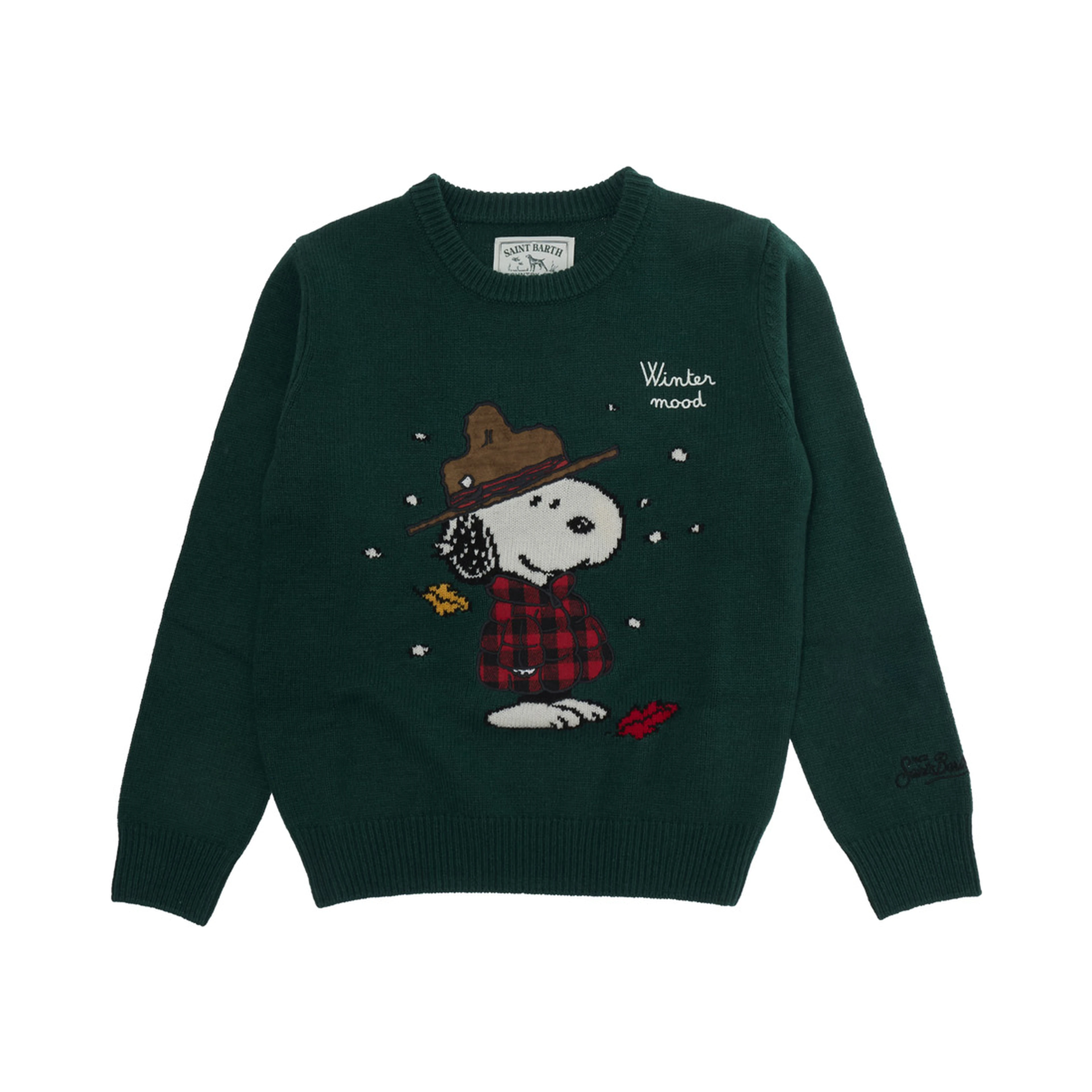 Douglas jacquard sweater in wool, viscose, Tech Fabric and cashmere for Boy