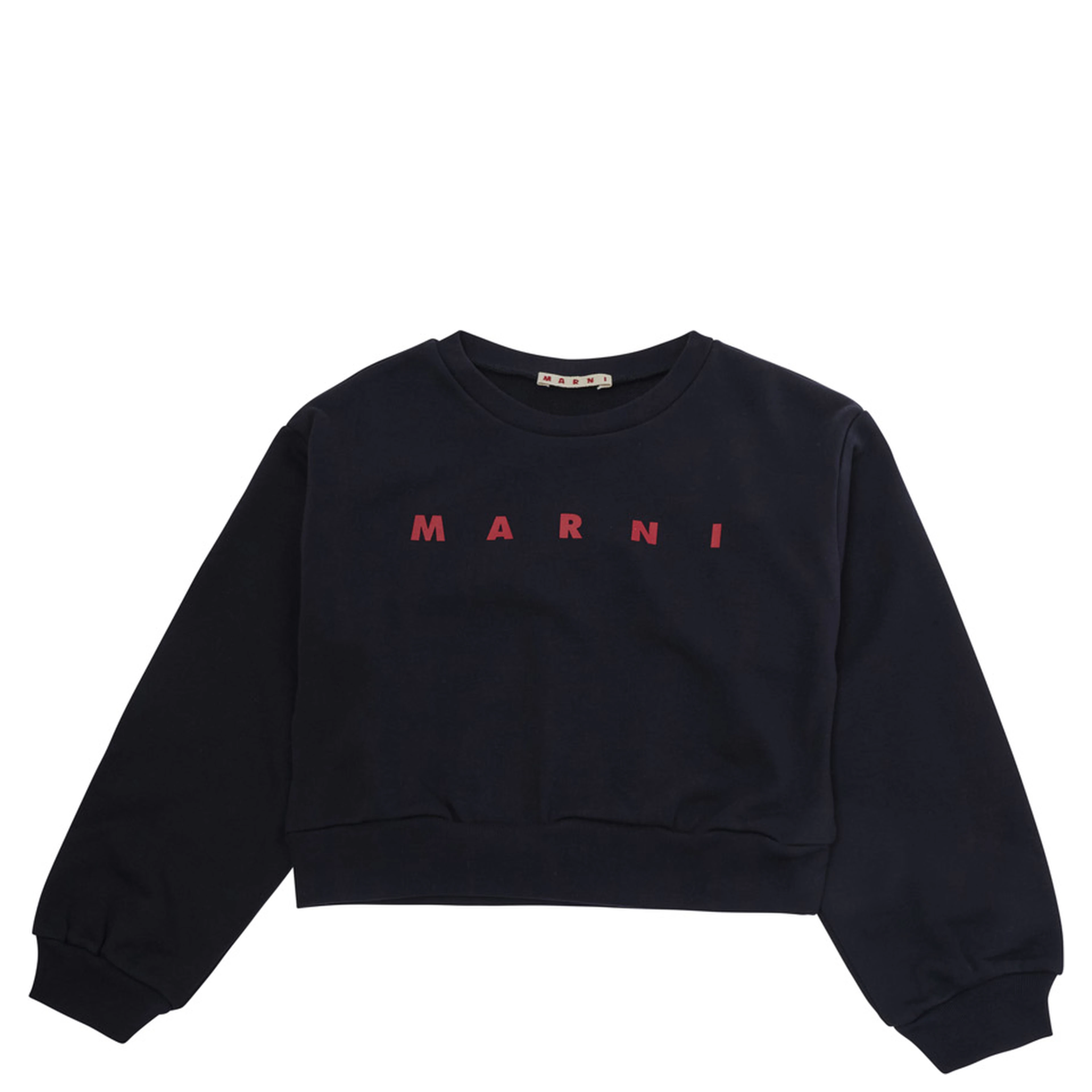 blue Crewneck sweatshirt with logo on the front in cotton Girl