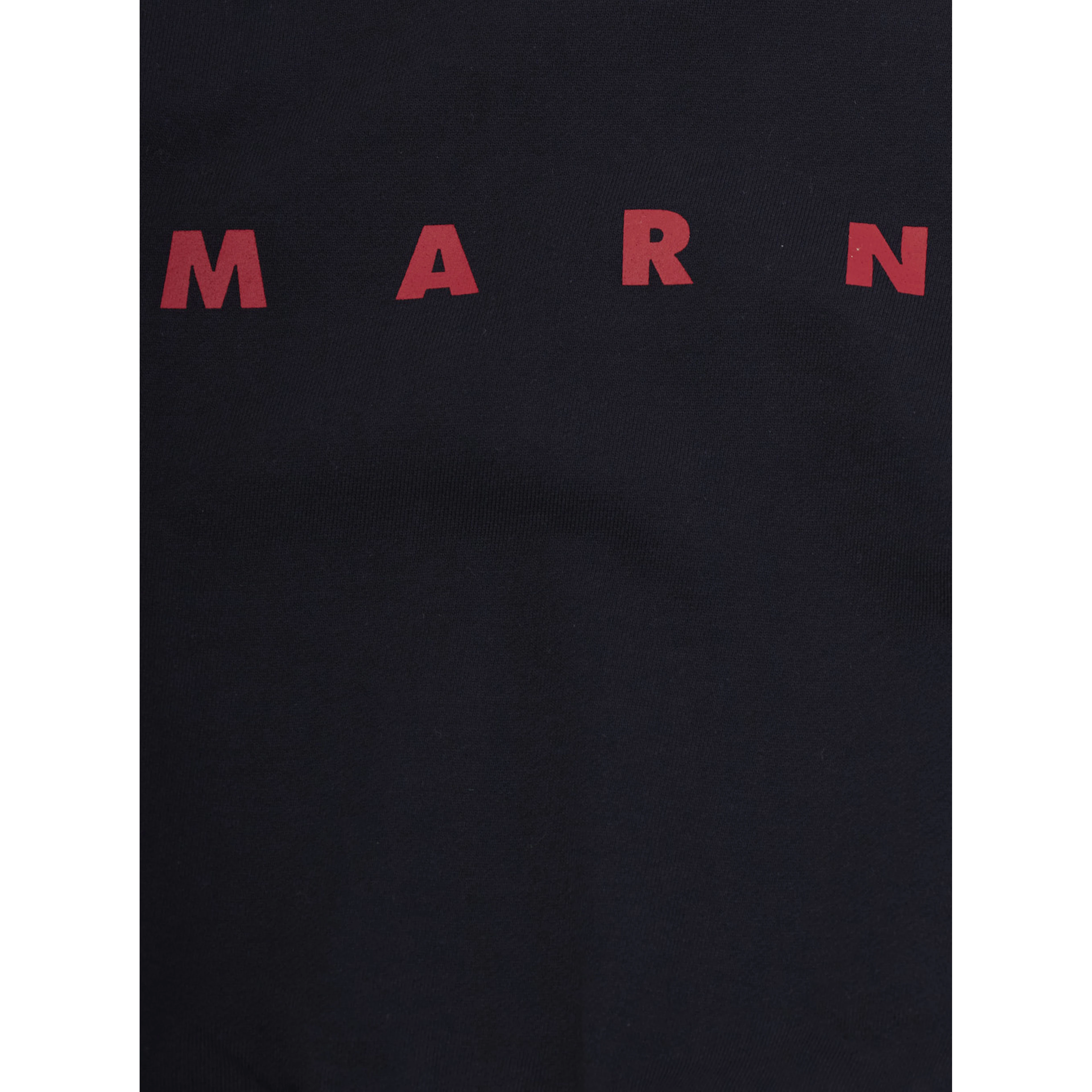 blue Crewneck sweatshirt with logo on the front in cotton Girl
