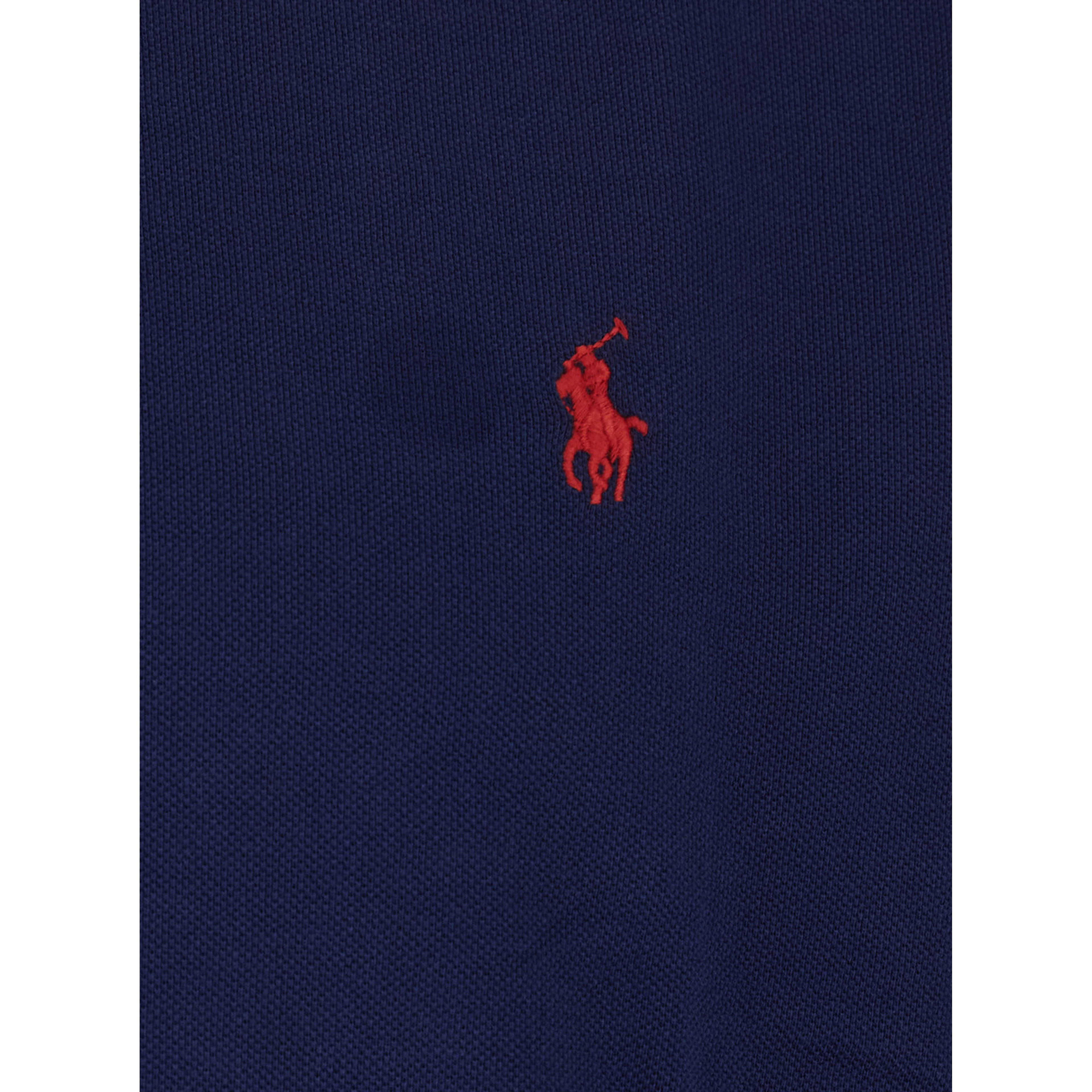 Slim Fit Blue Polo Shirt with Long Sleeves and Pony Embroidery on the Front in Cotton for Men