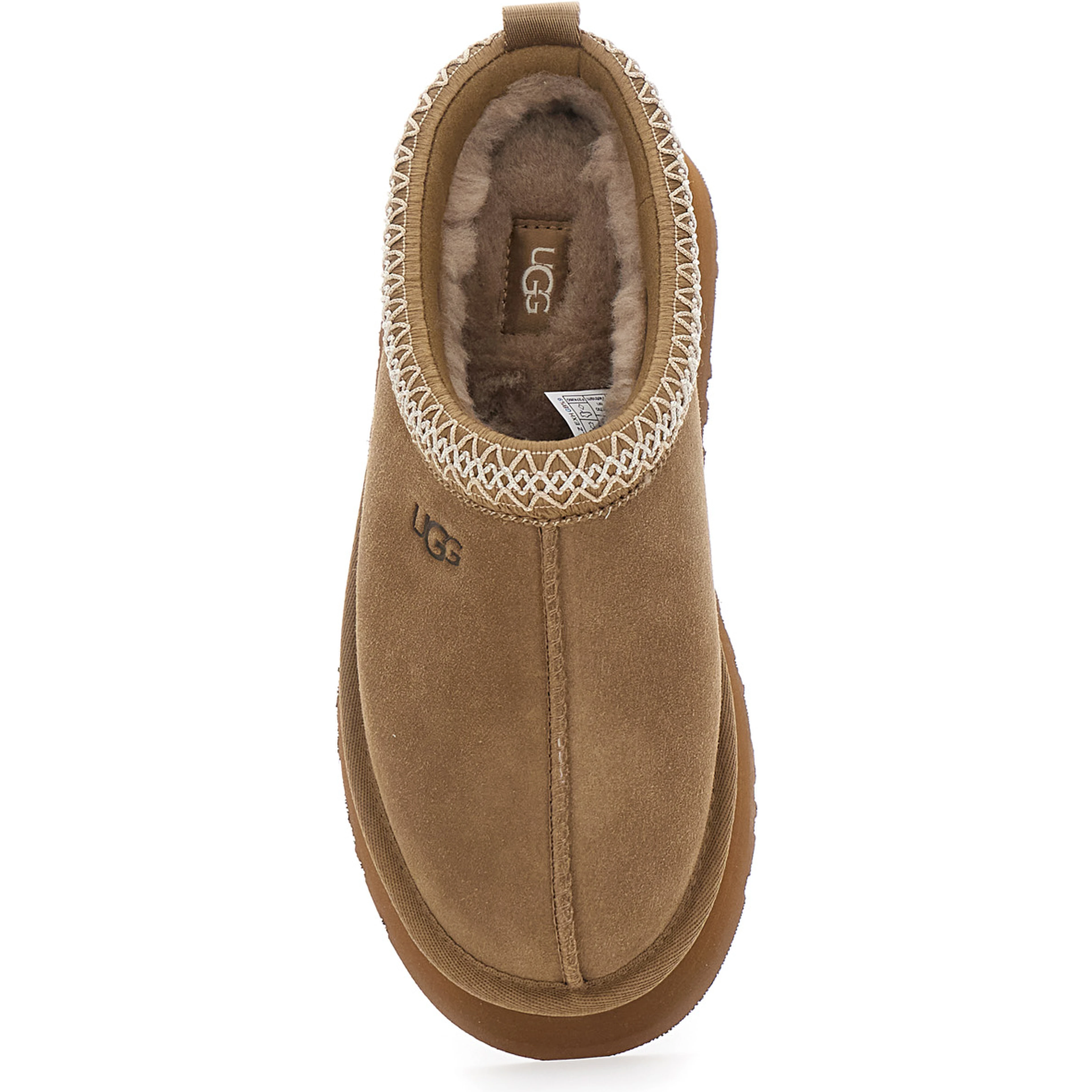 Tazz II Brown Ankle boots with front embroidery and logo lettering in suede for women