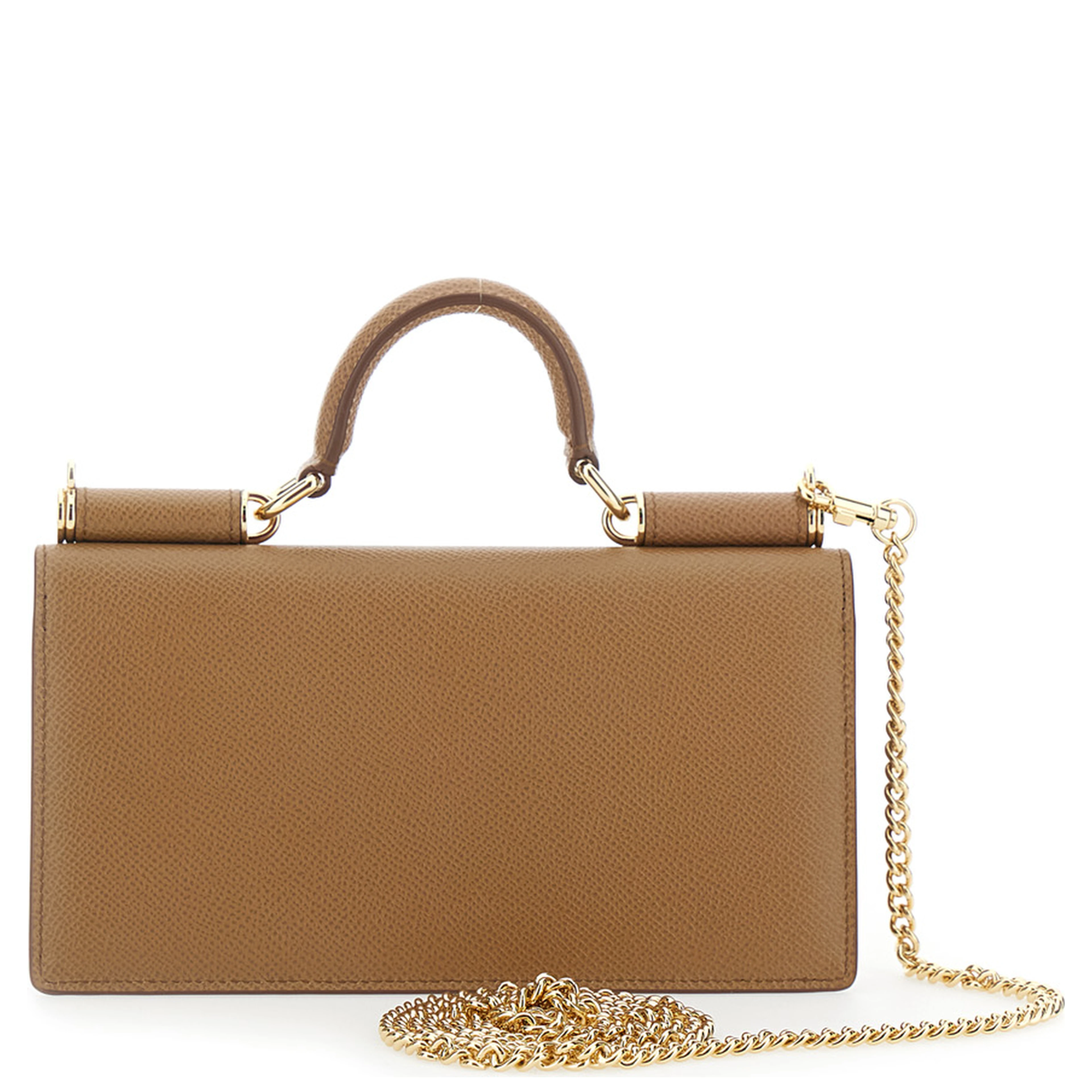 Brown Mini Bag with Chain Strap and Logo Plate on the Front in Leather for Women