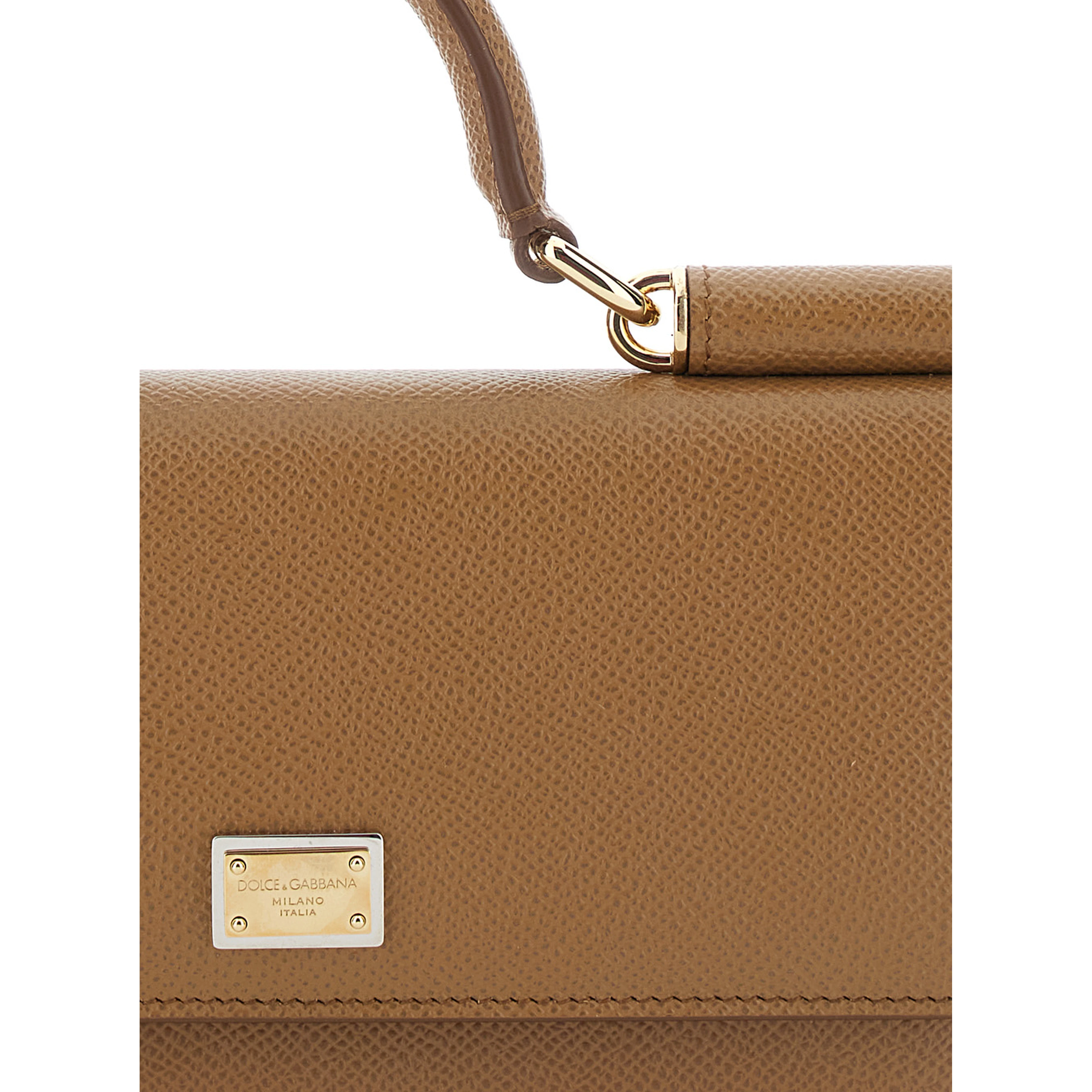 Brown Mini Bag with Chain Strap and Logo Plate on the Front in Leather for Women