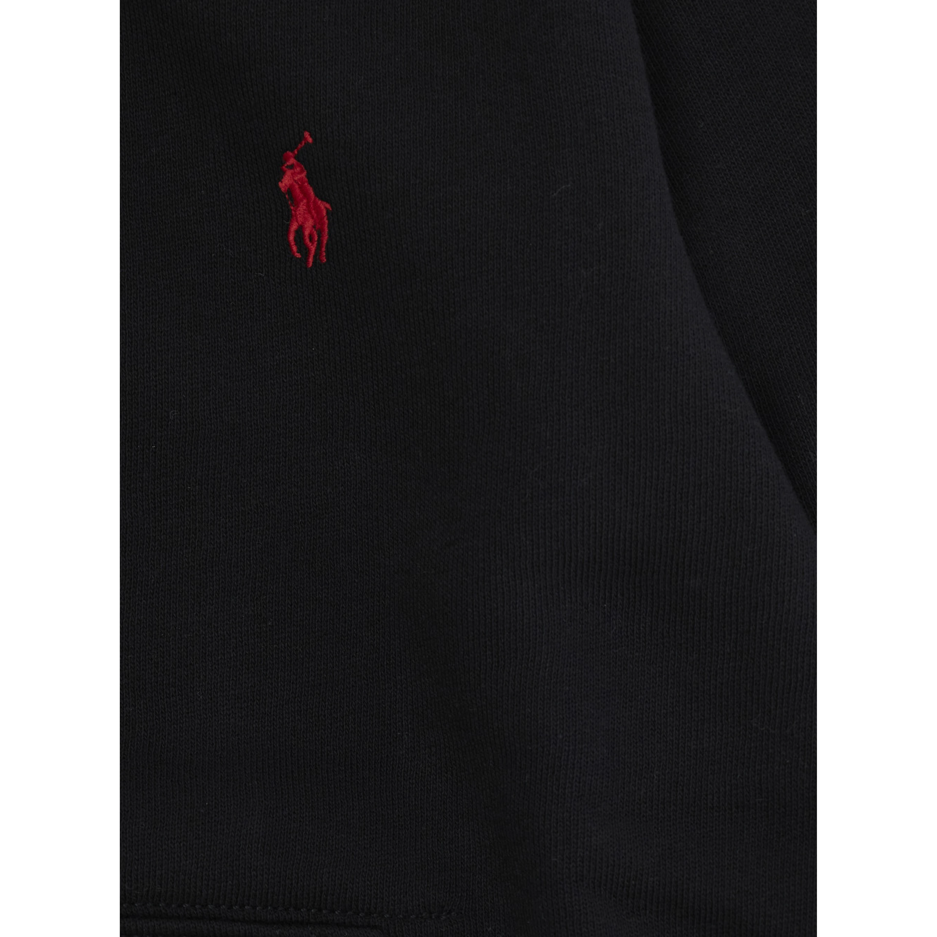 Hooded Sweatshirt with Fixed Hood and Pony Logo on the Front in Black Cotton Boy
