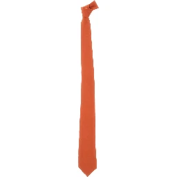 Papillon SILK Orange Silk for Men