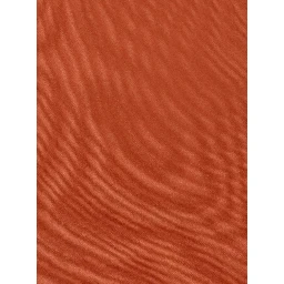 Papillon SILK Orange Silk for Men