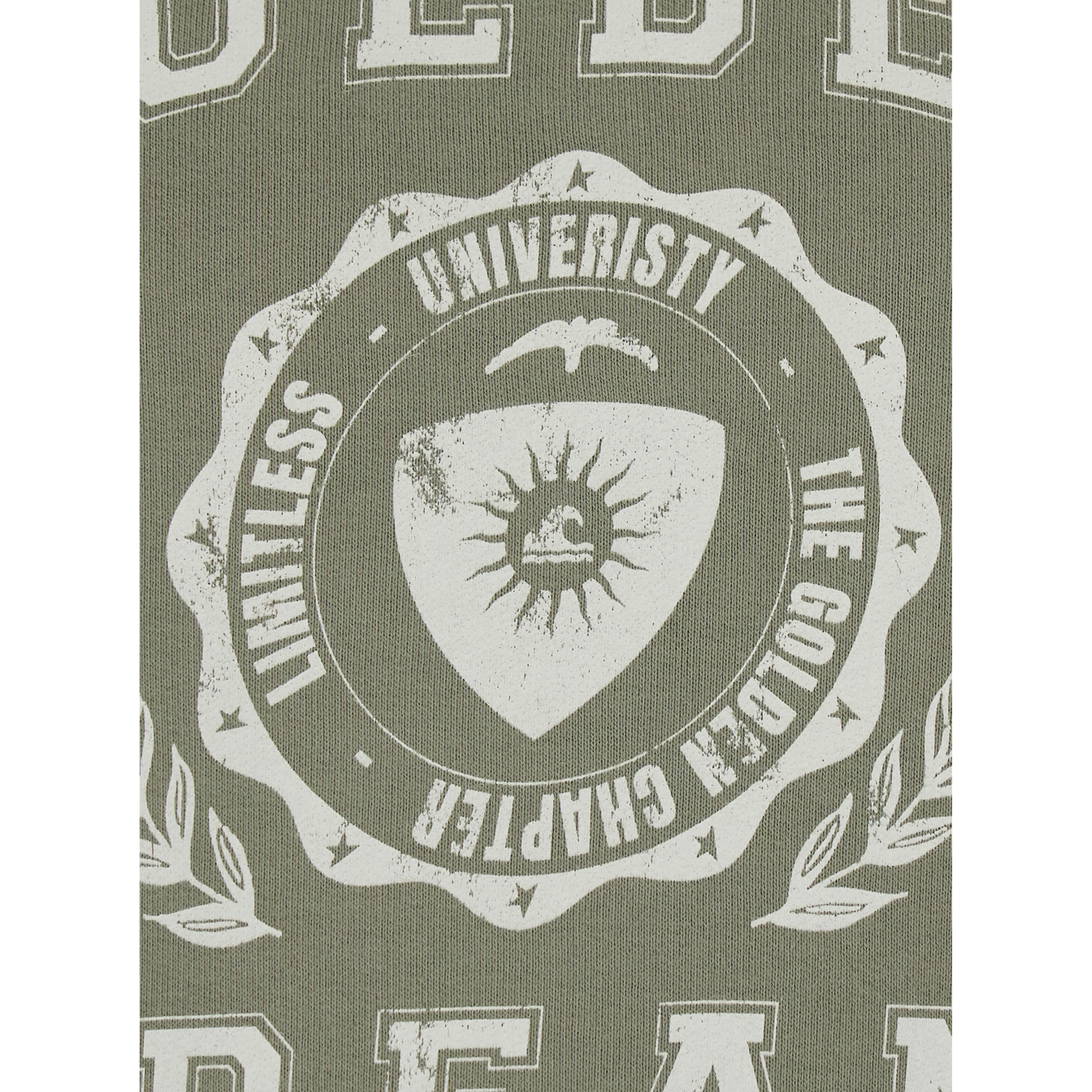 Green Crewneck sweatshirt with Logo lettering on the front in cotton for men