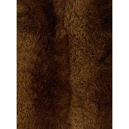 Brown Eco-Fur Coat with Fixed Hood for Women