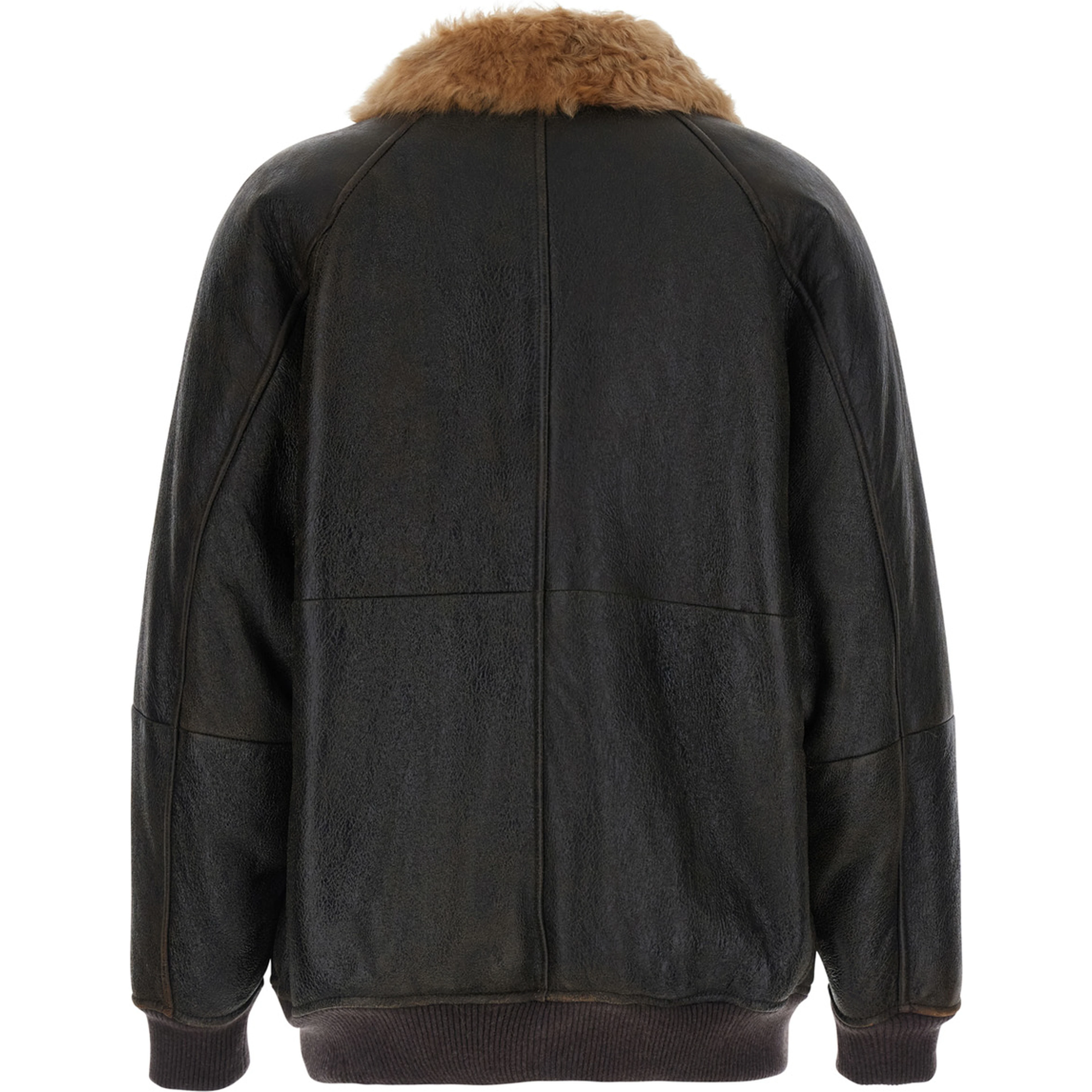 Brown Jacket with Fur Collar and Monil Zipper Pull in Leather for Women