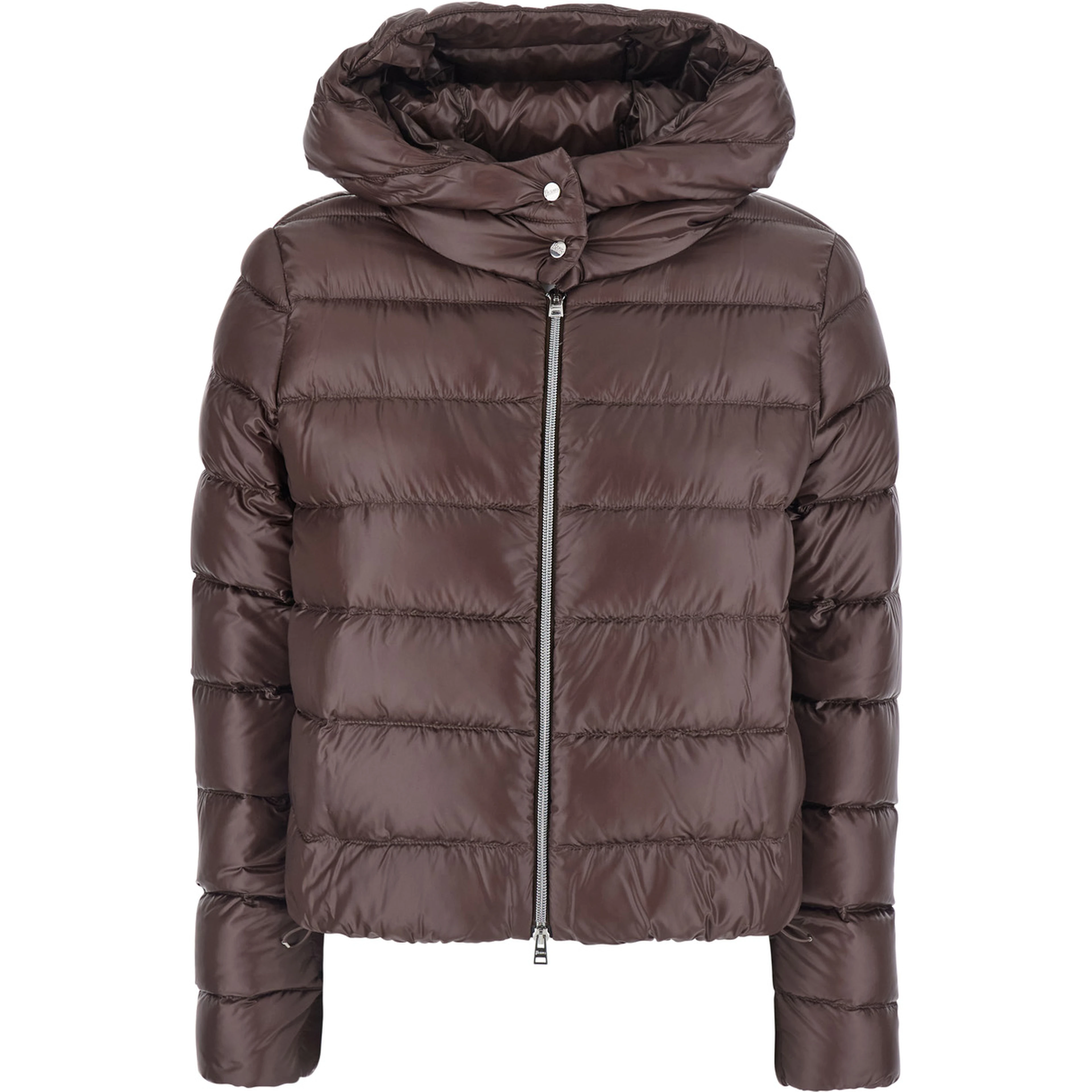 Brown Short Down Jacket with Hood and Metal Plate on the Back in Tech Fabric Woman