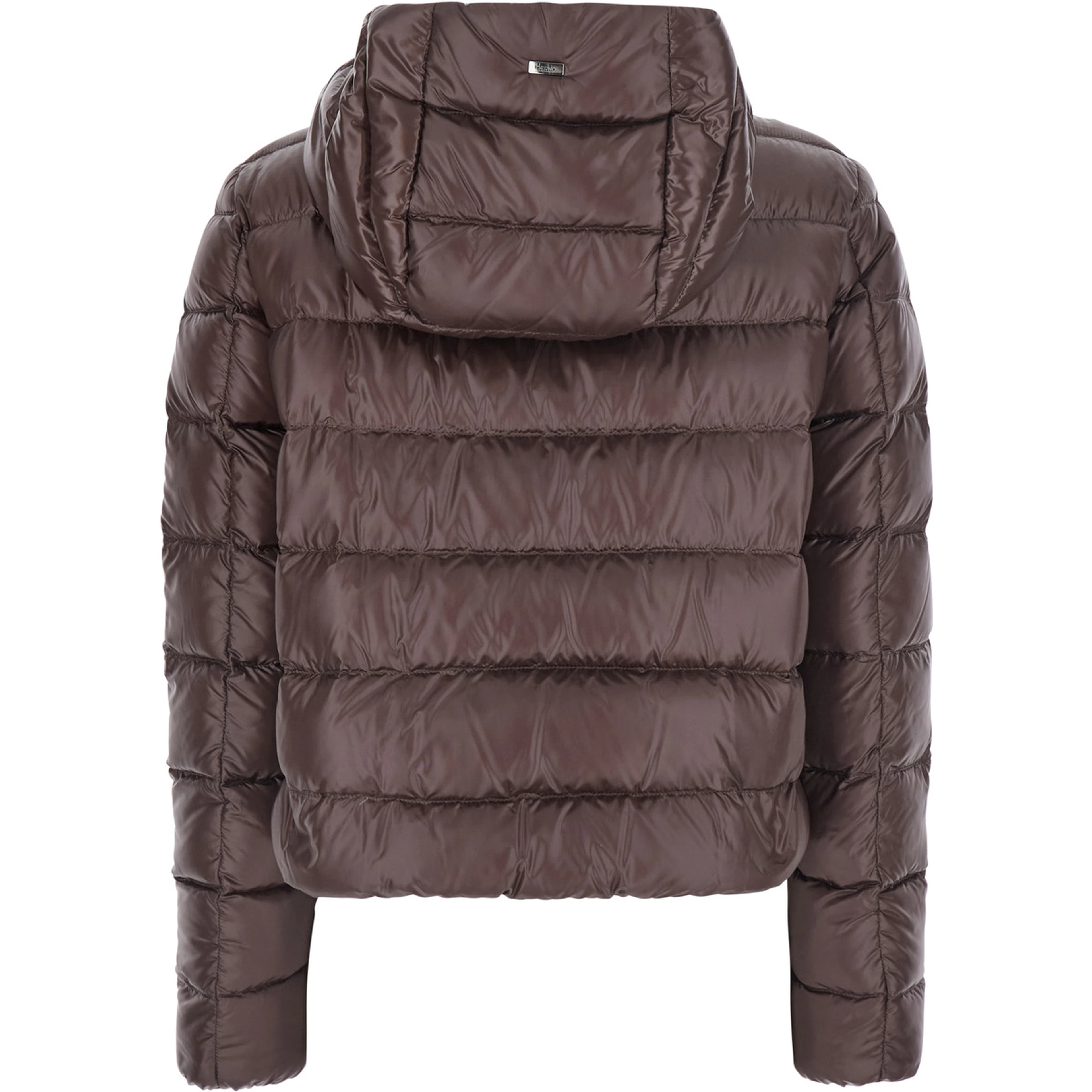 Brown Short Down Jacket with Hood and Metal Plate on the Back in Tech Fabric Woman
